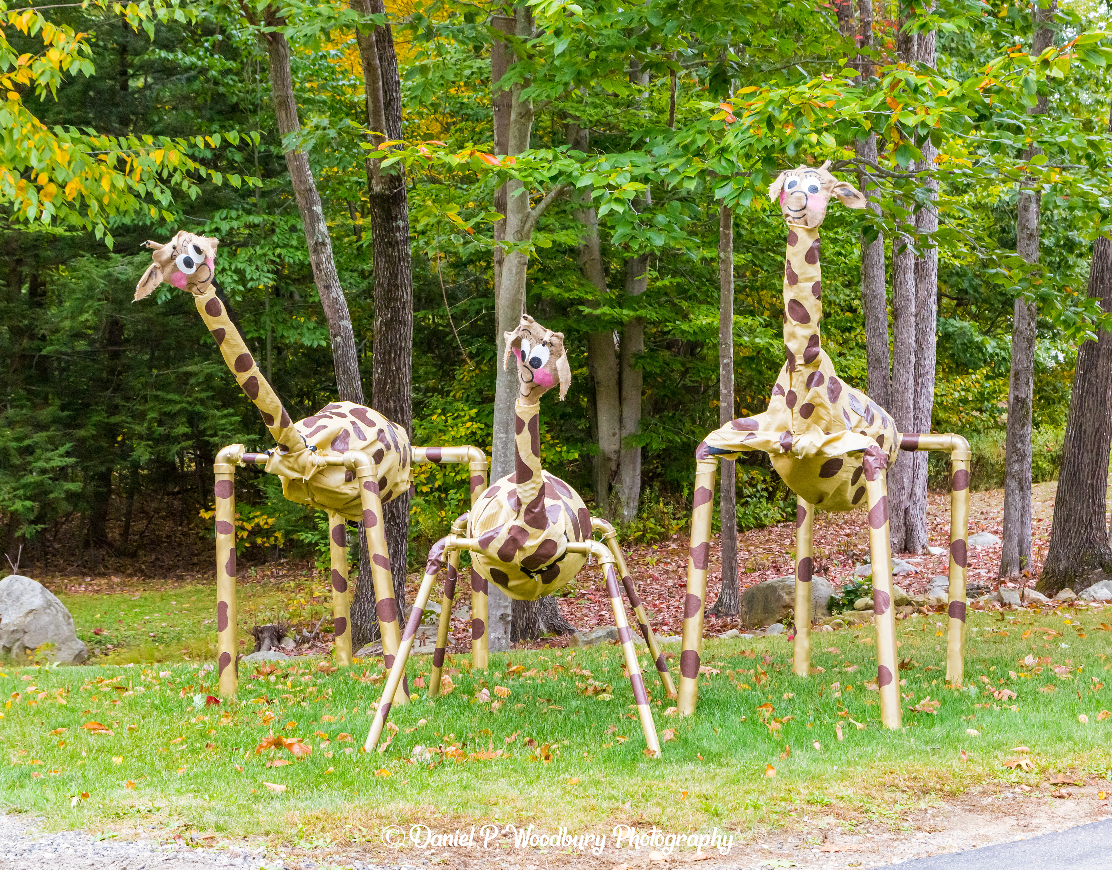 Giraffe Scarecrows