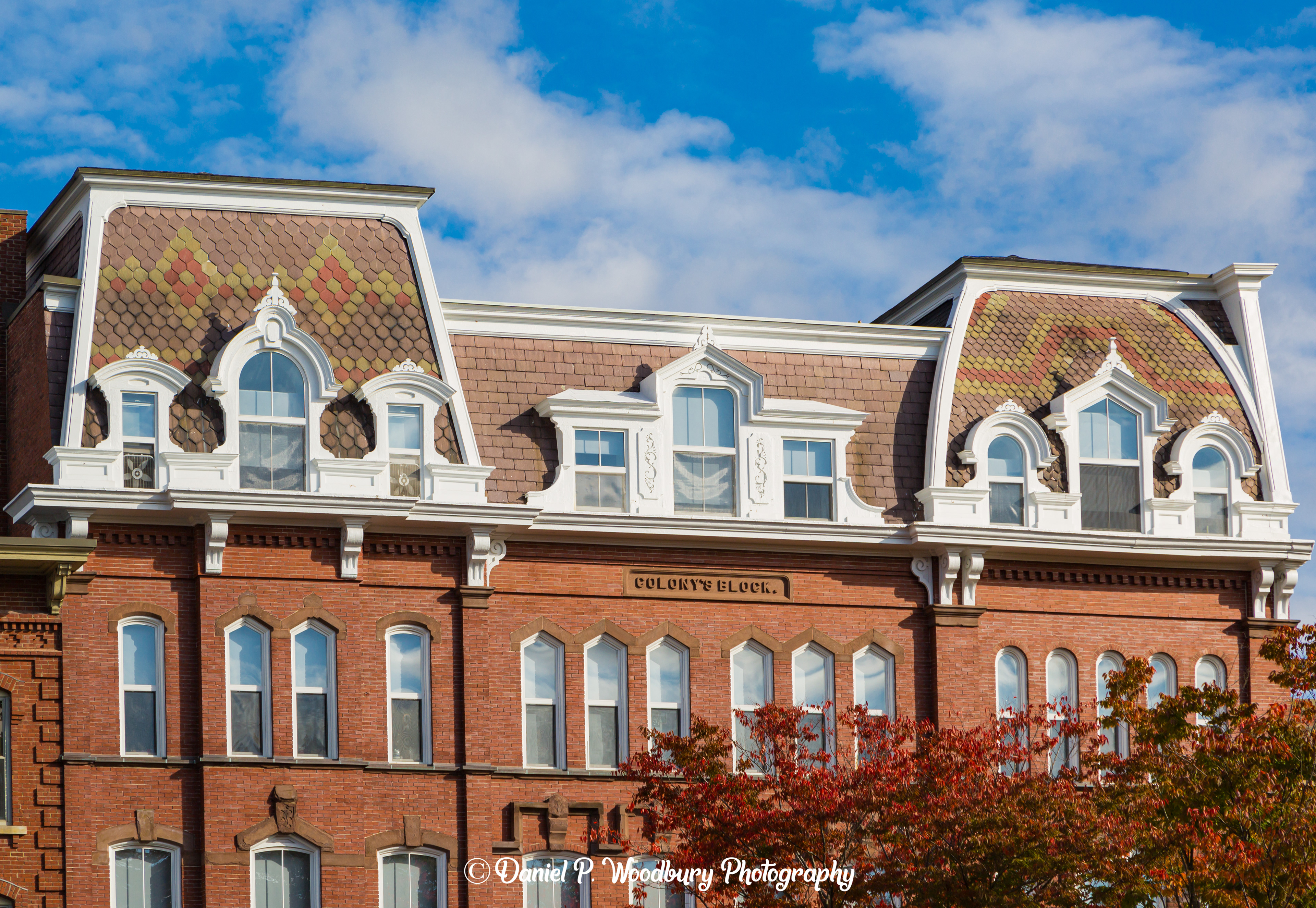Colony's Block Building