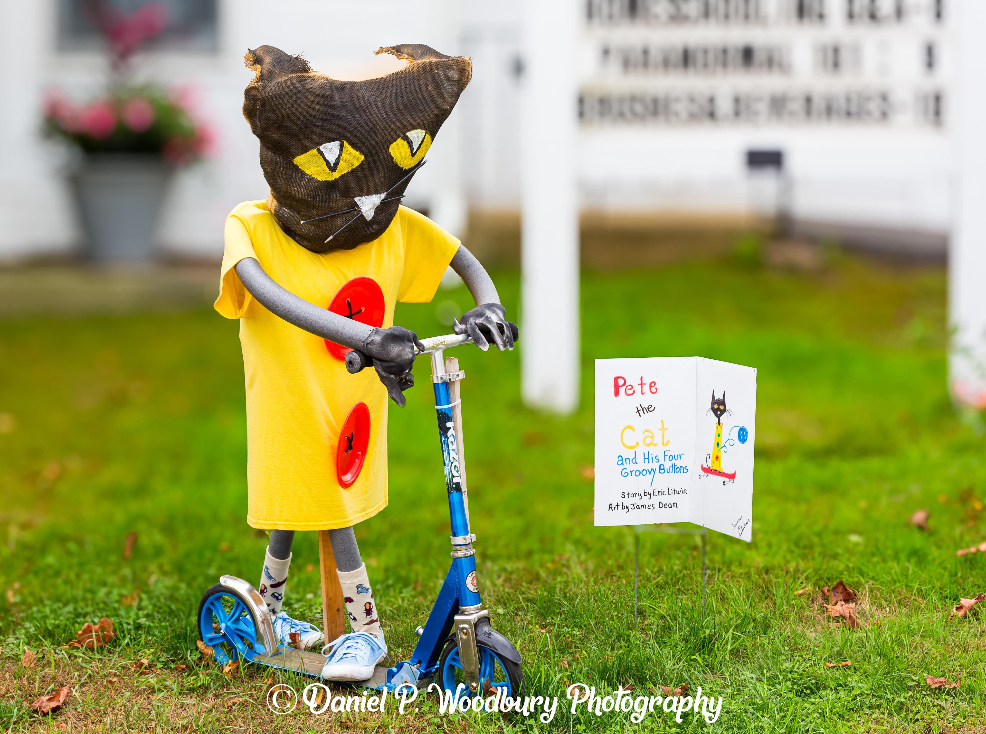 Pete, The Cat Scarecrow