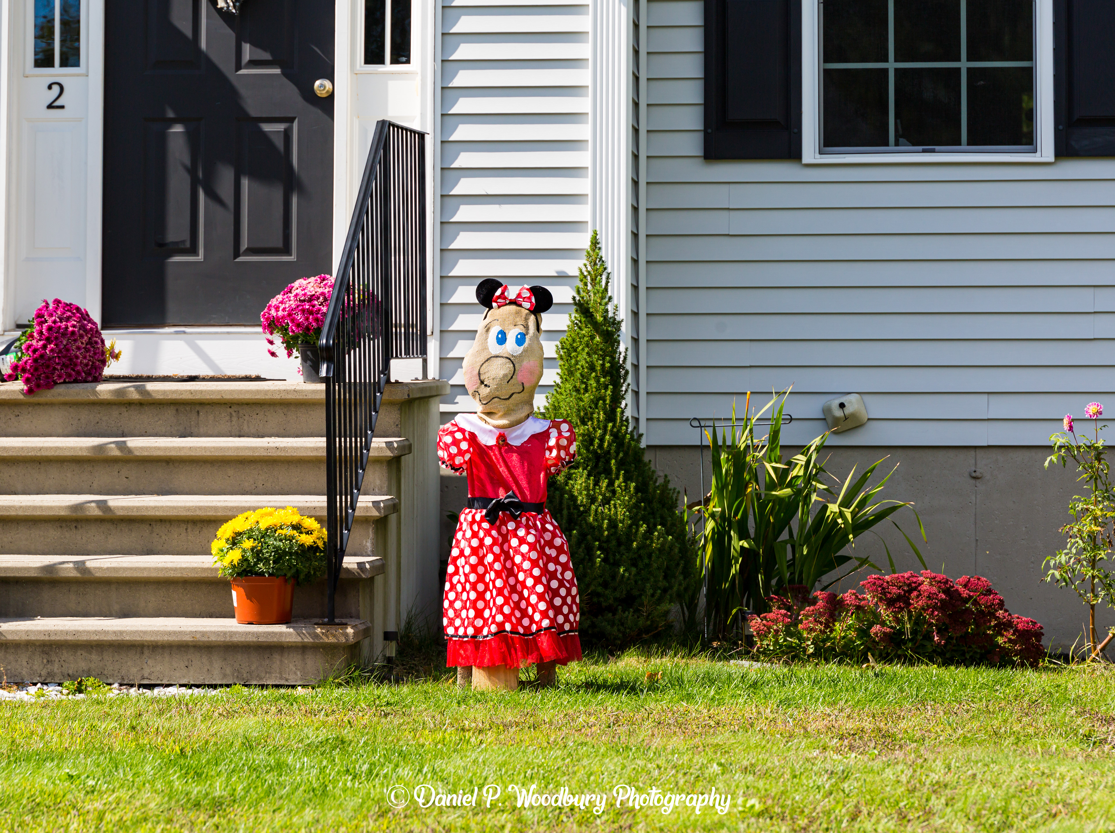 Minnie Mouse Scarecrow