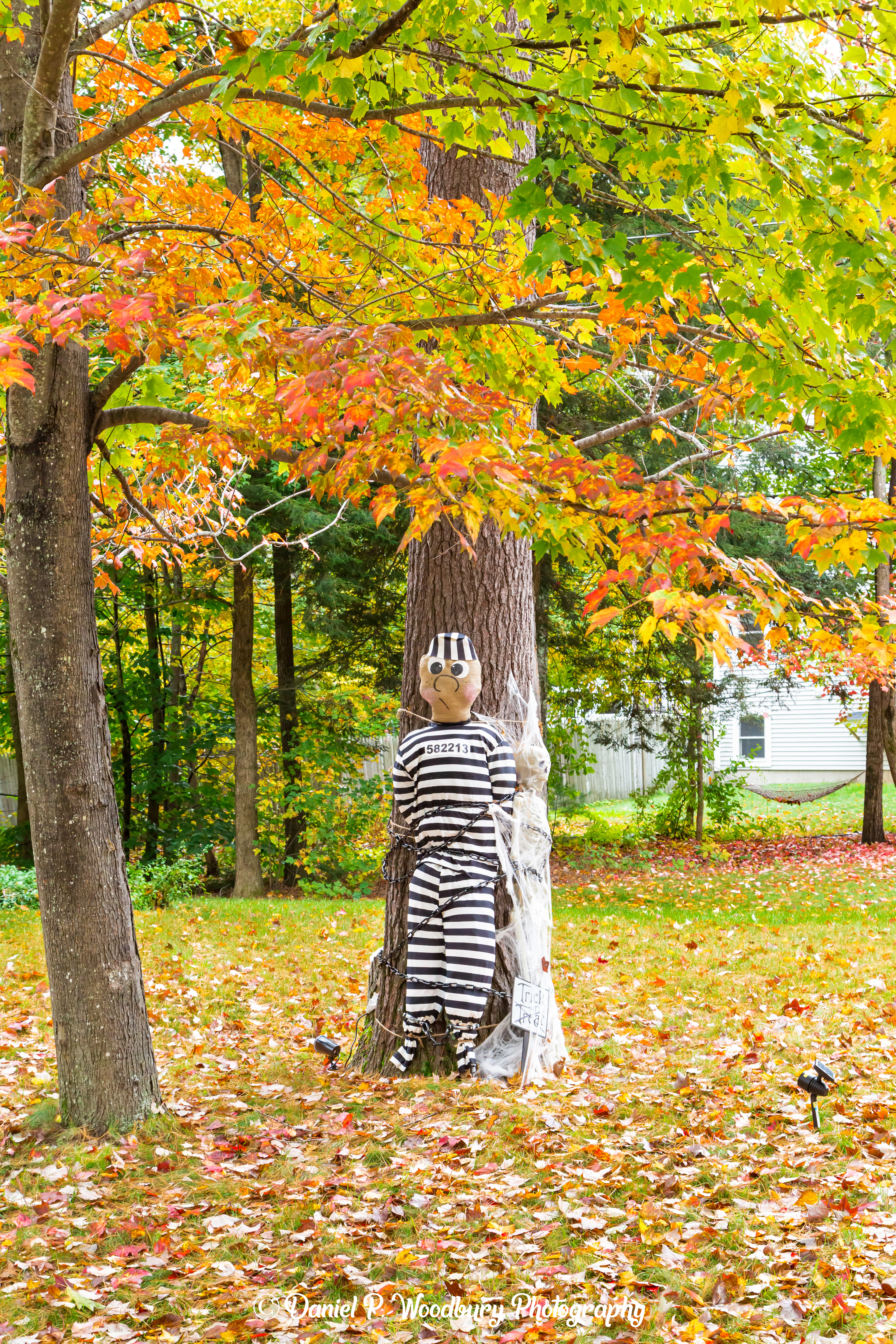 Prisoner Scarecrow