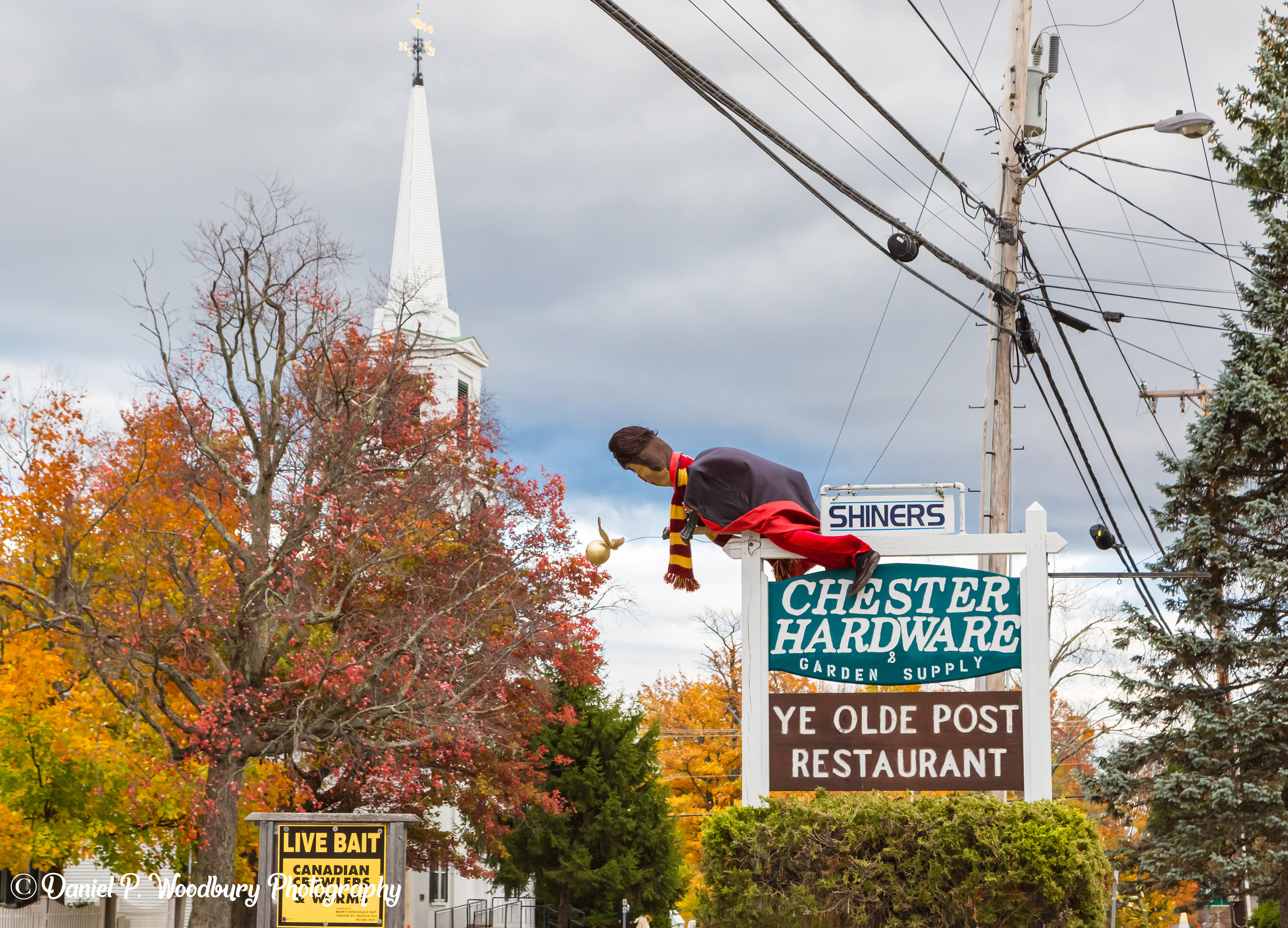 Hangin' Around Scarecrow