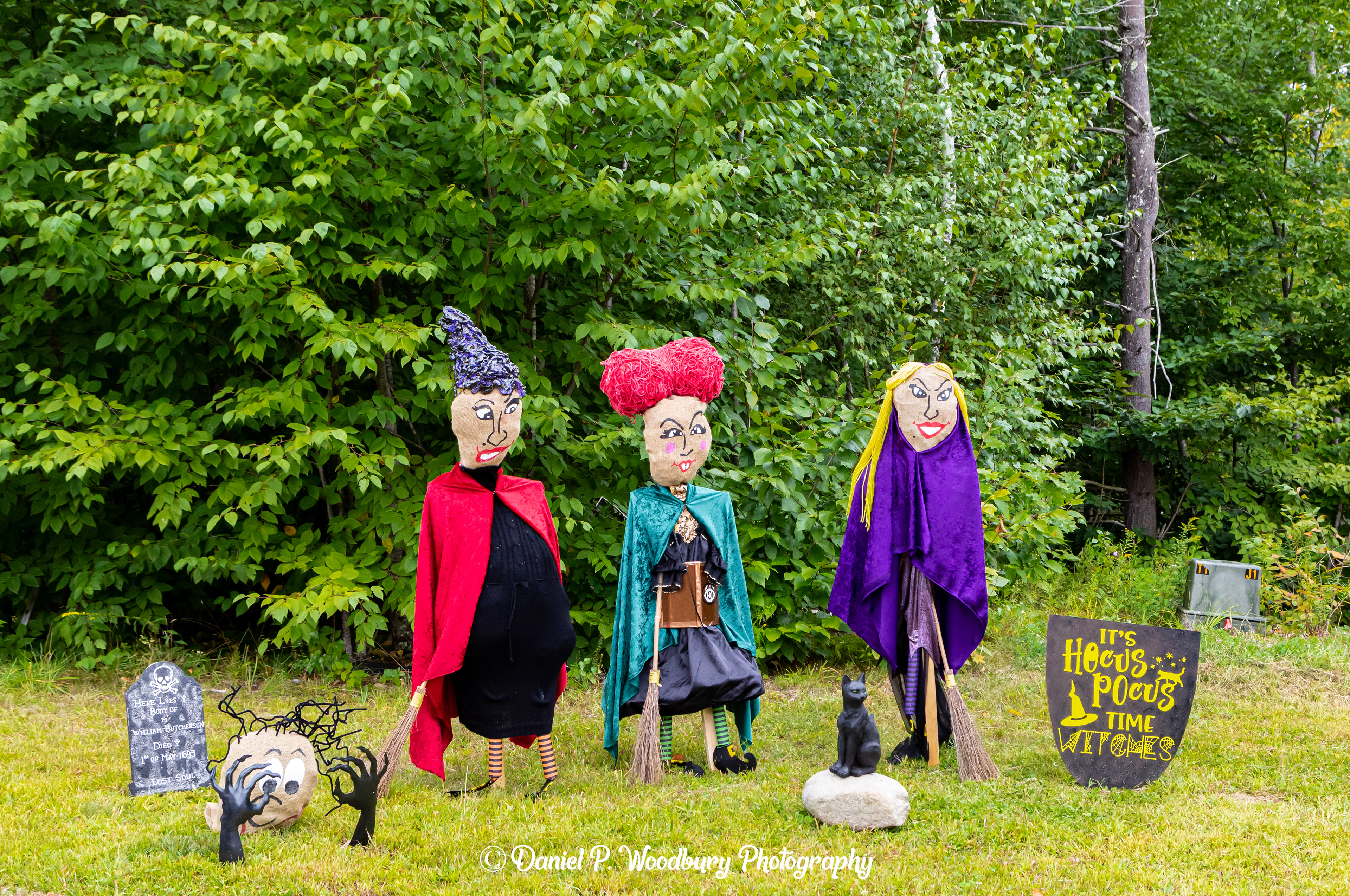 Hocus Pocus Scarecrows