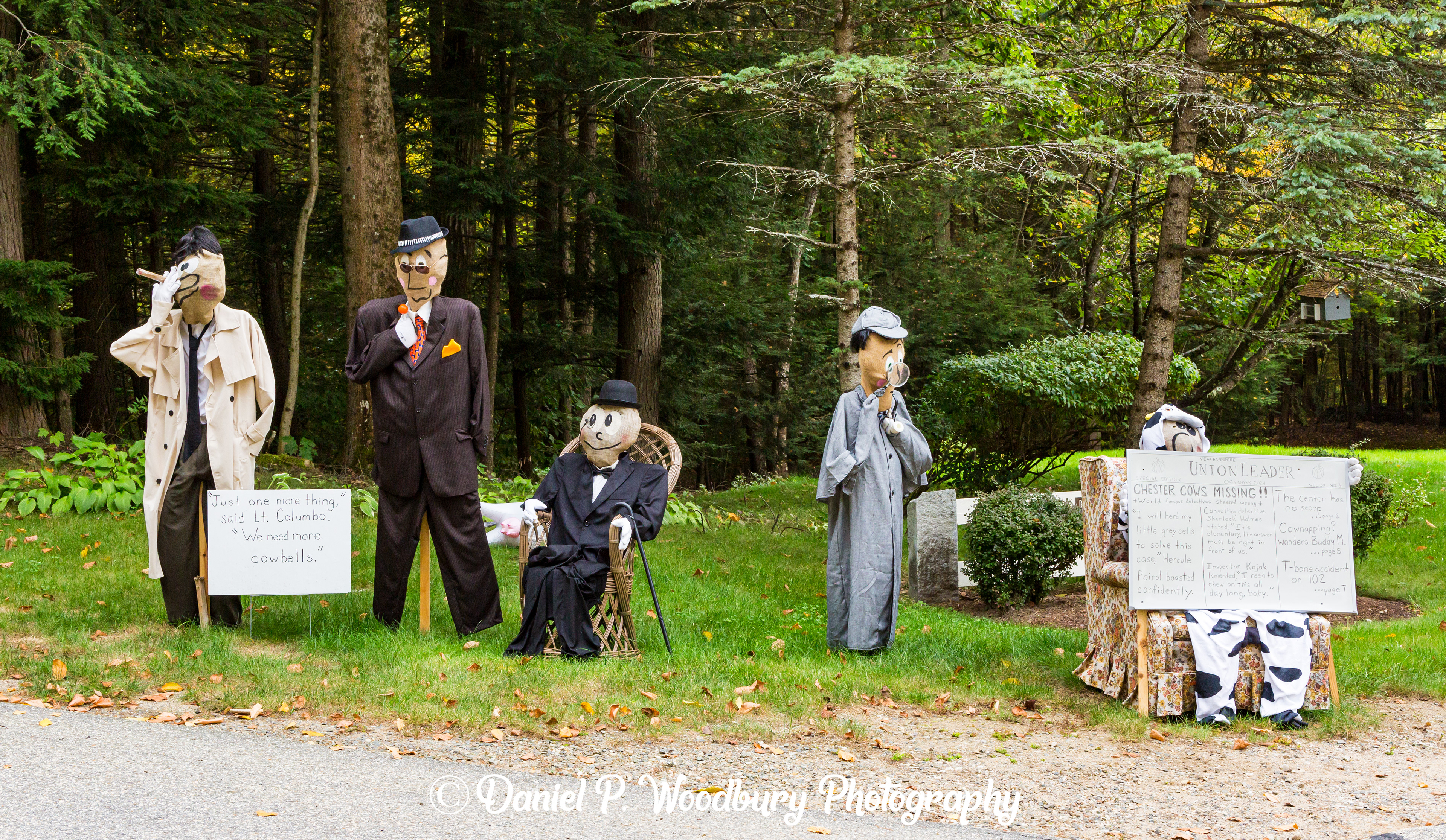 Searching For Missing Cows Scarecrows