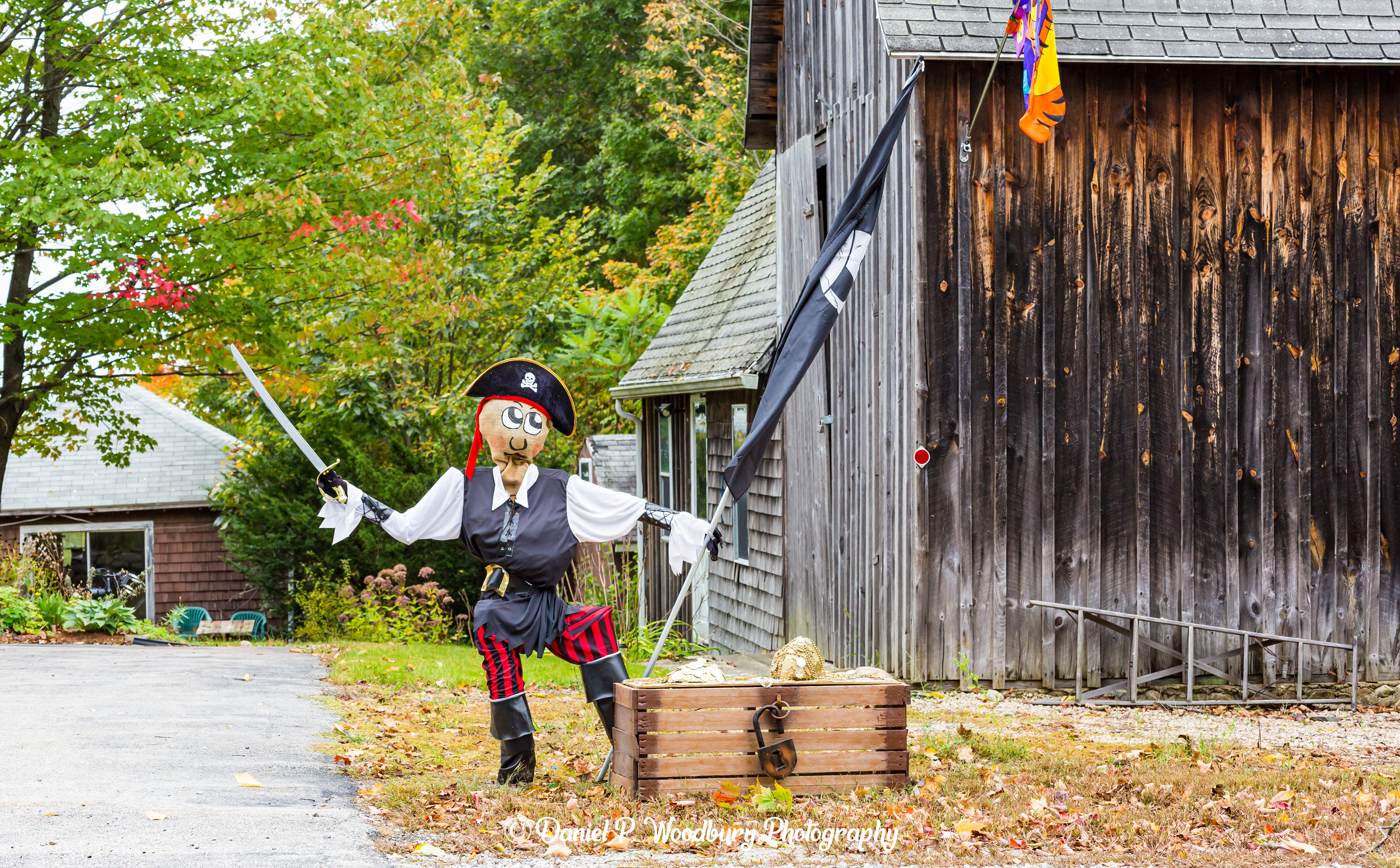 Pirate Scarecrow