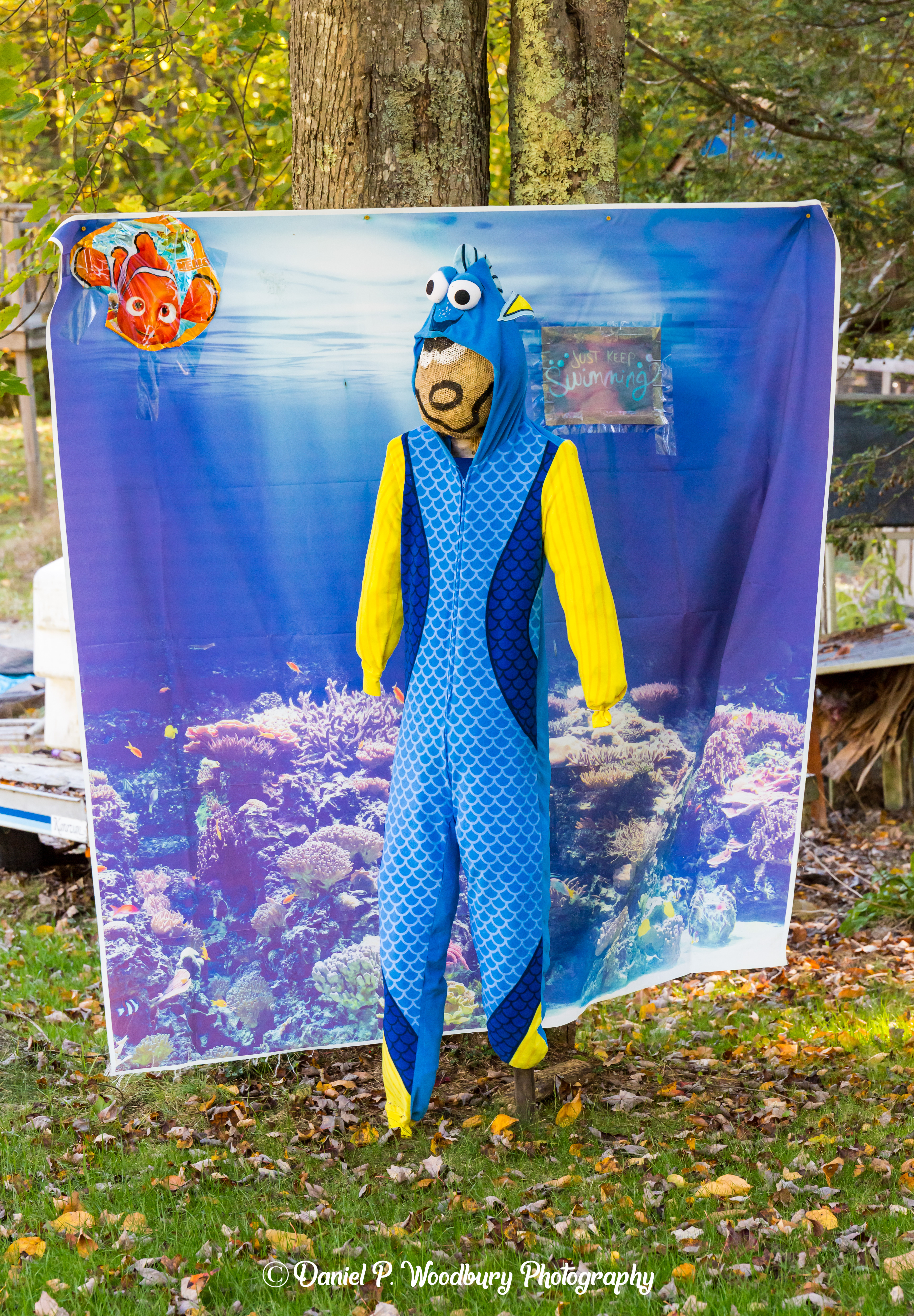 Finding Dory Scarecrow