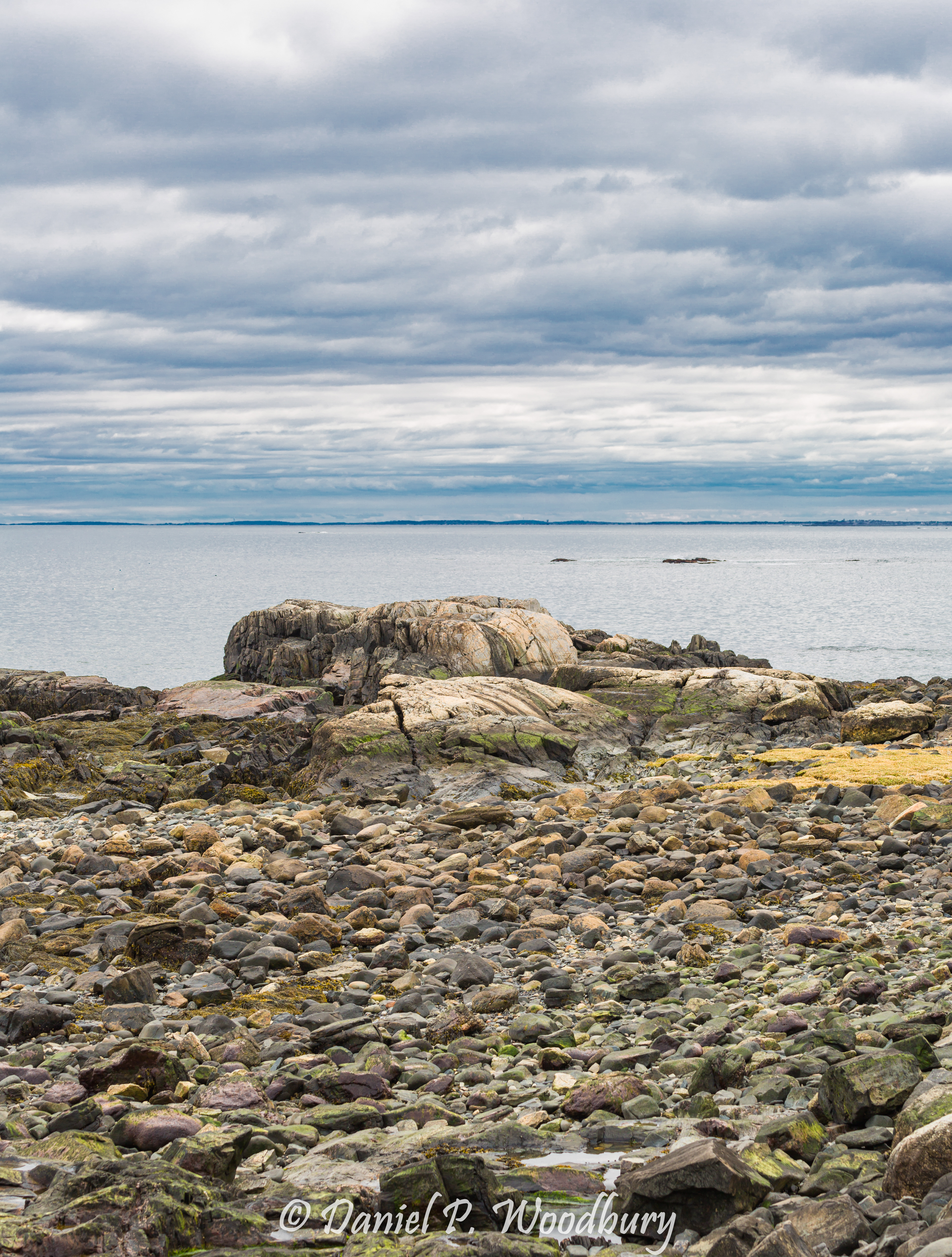 Rocks In Rye