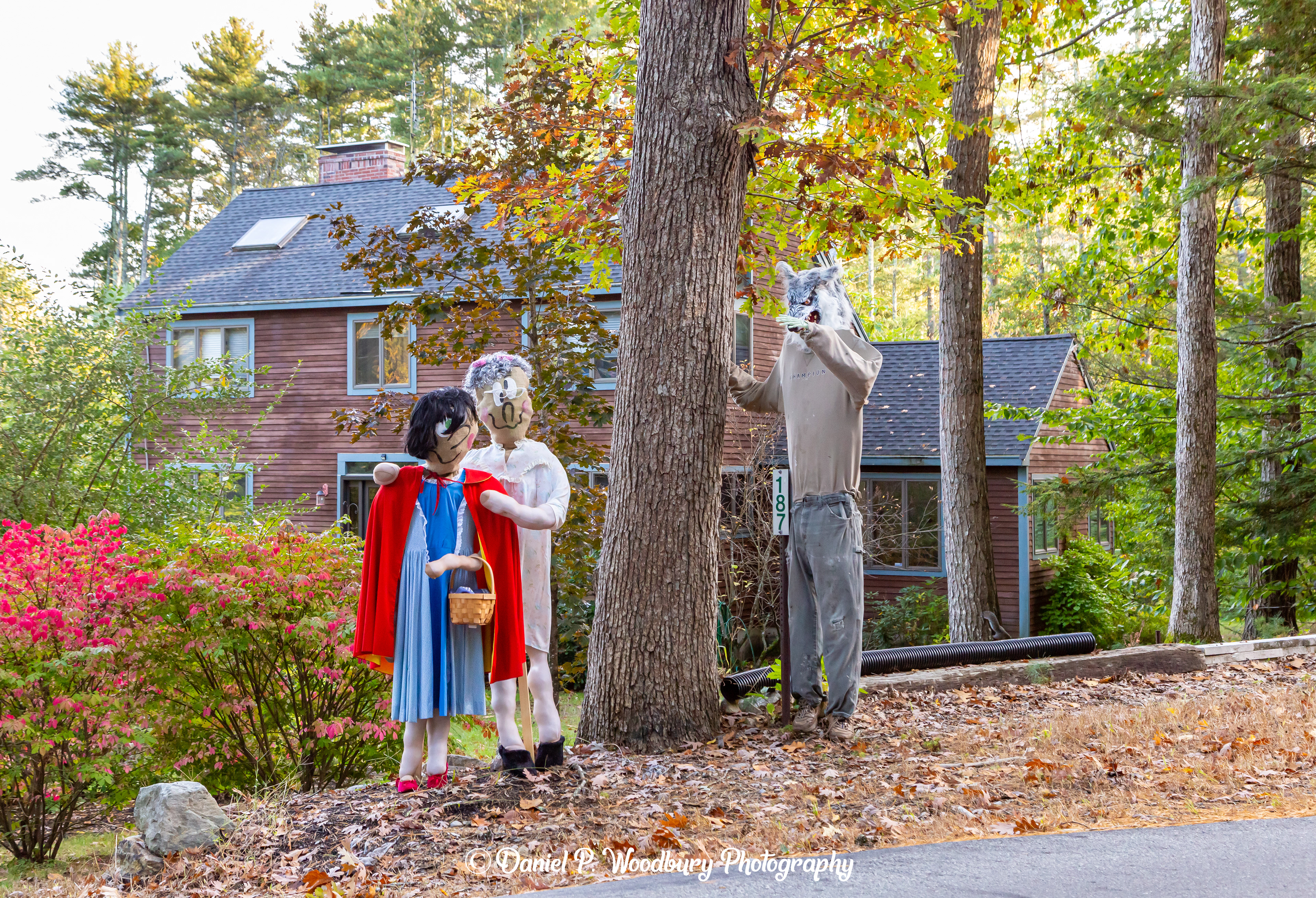 Little Red Riding Hood Scarecrows