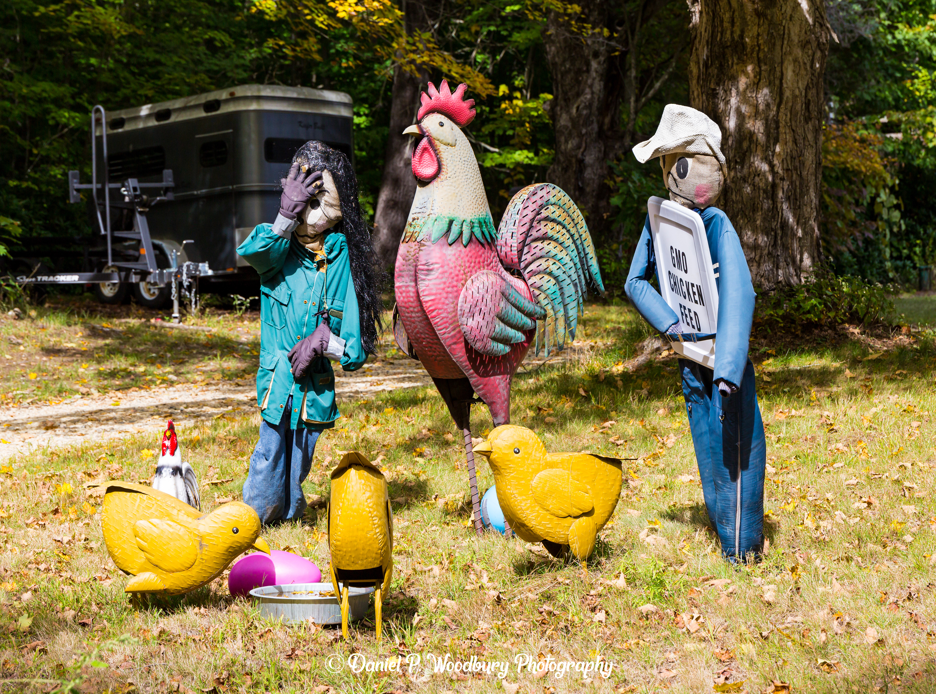 Chicken Raisin' Scarecrows