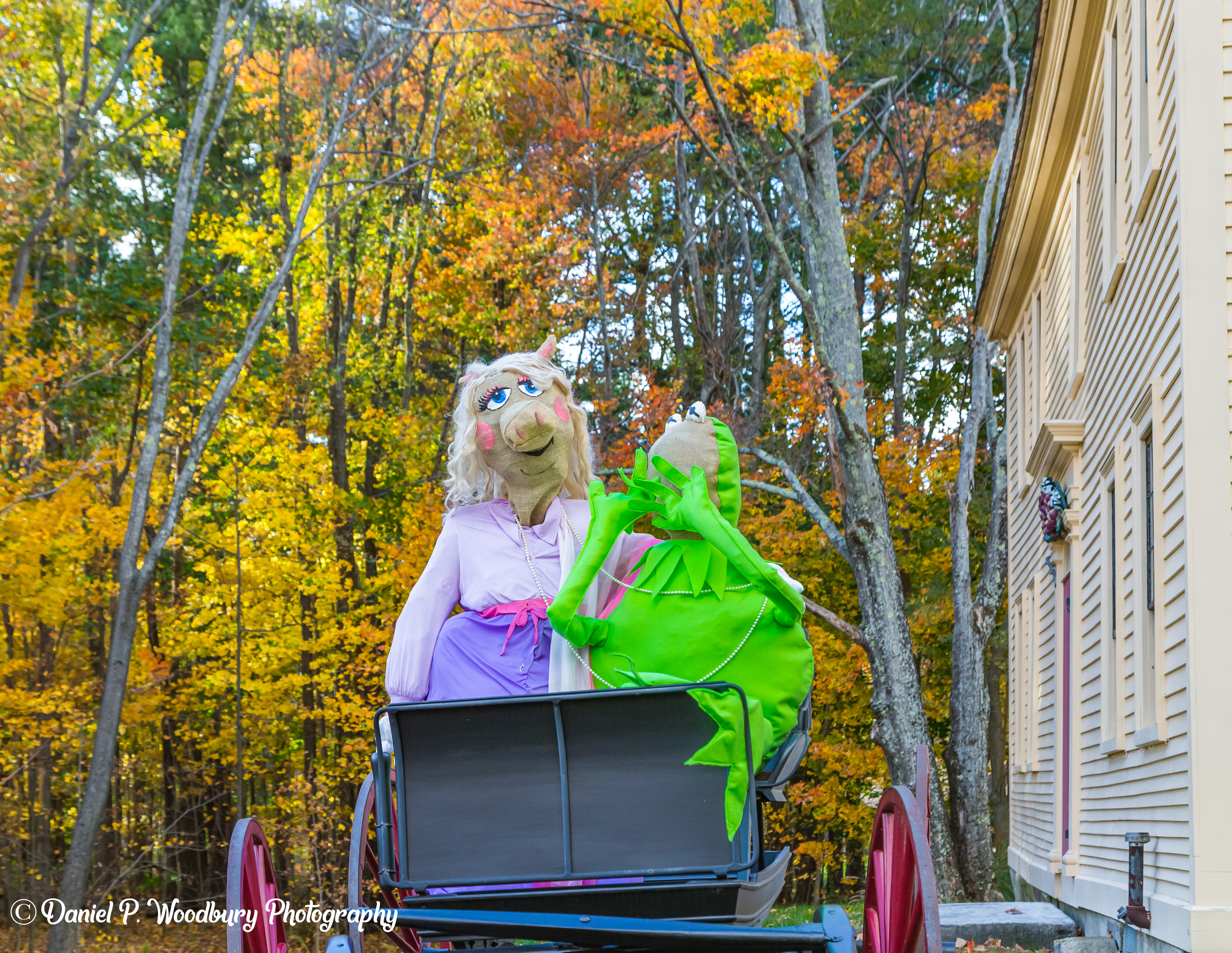 Miss Piiggy & Kermit Scarecrows
