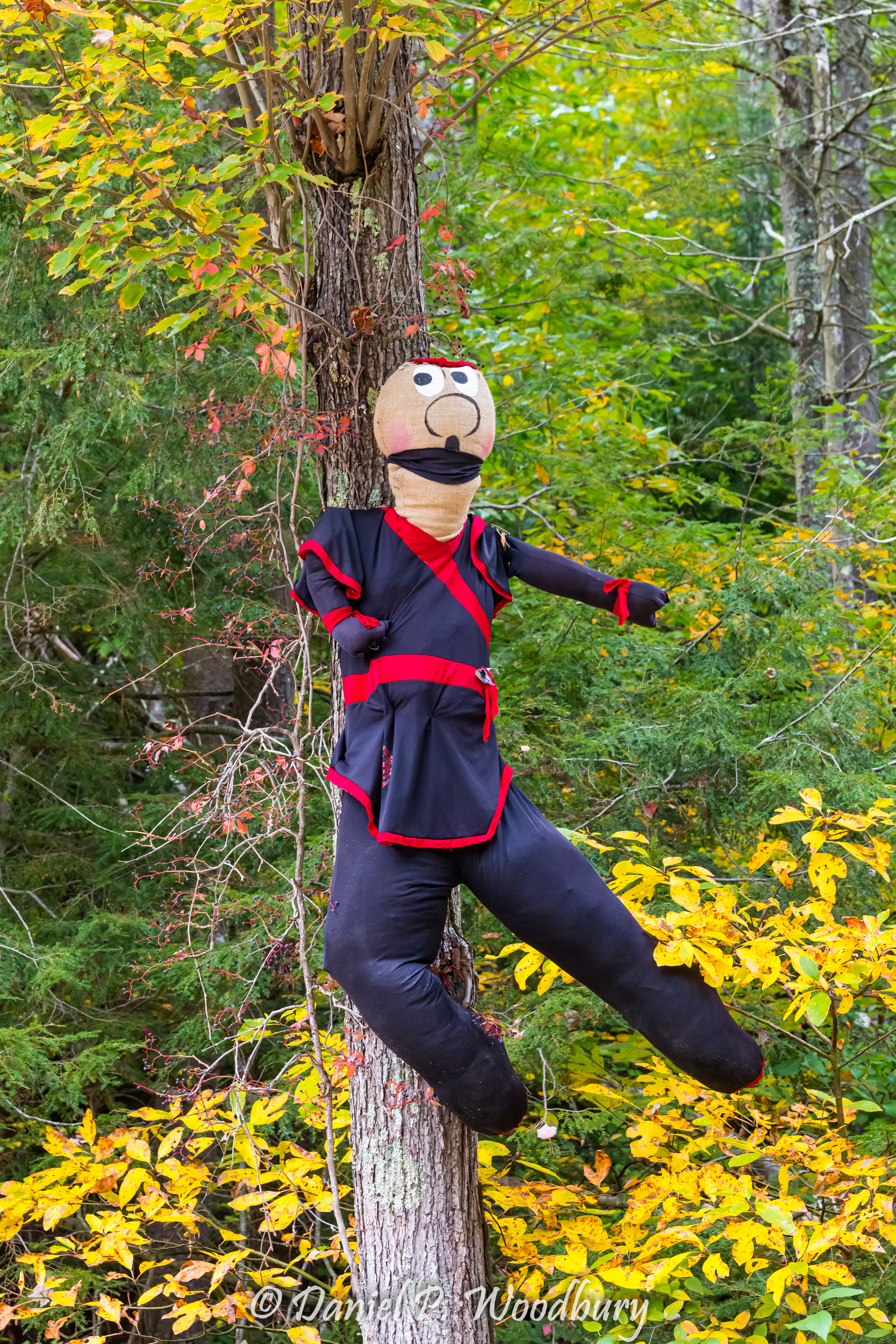 Ninja Scarecrow