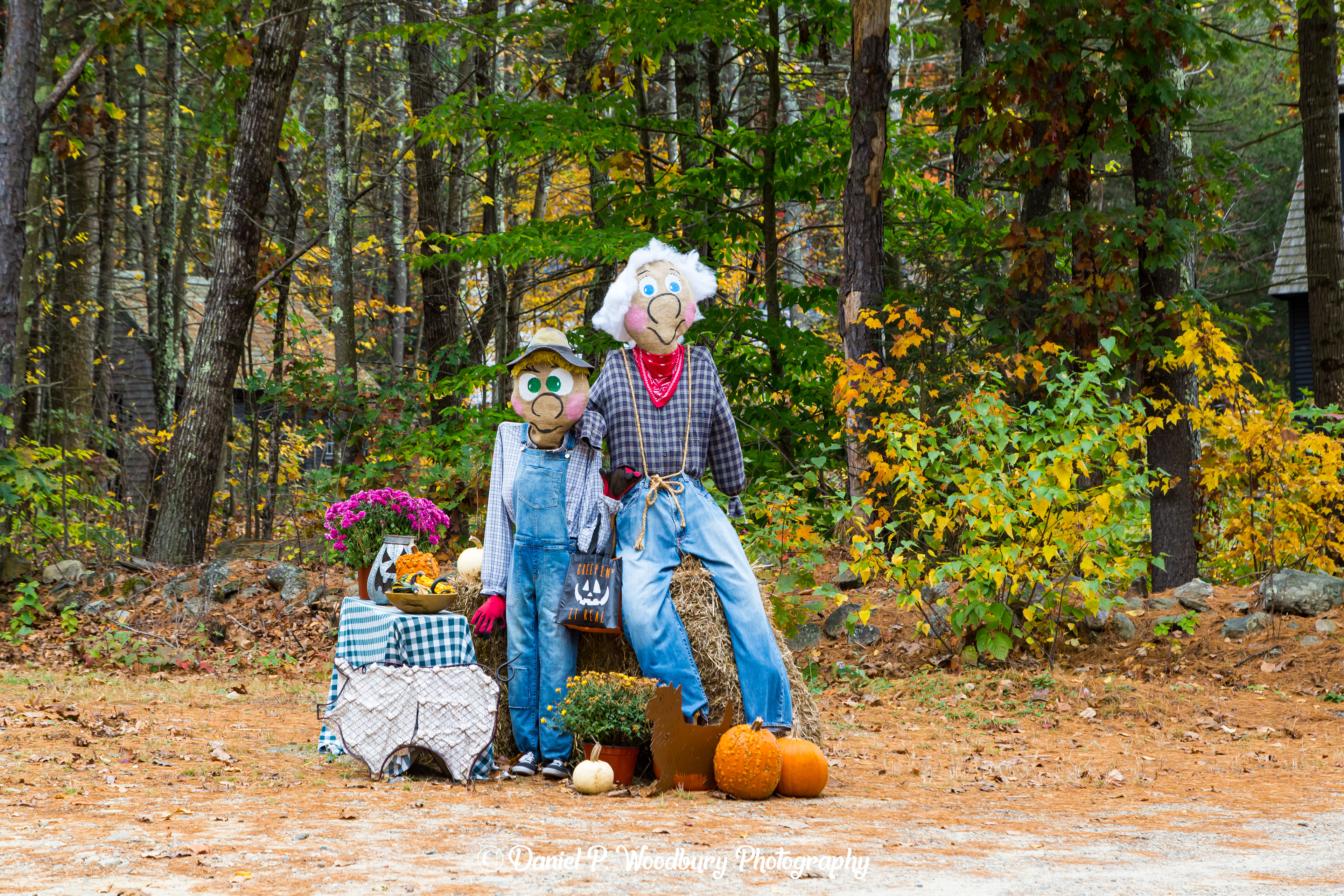 Trick Or Treatin' Scarecrows