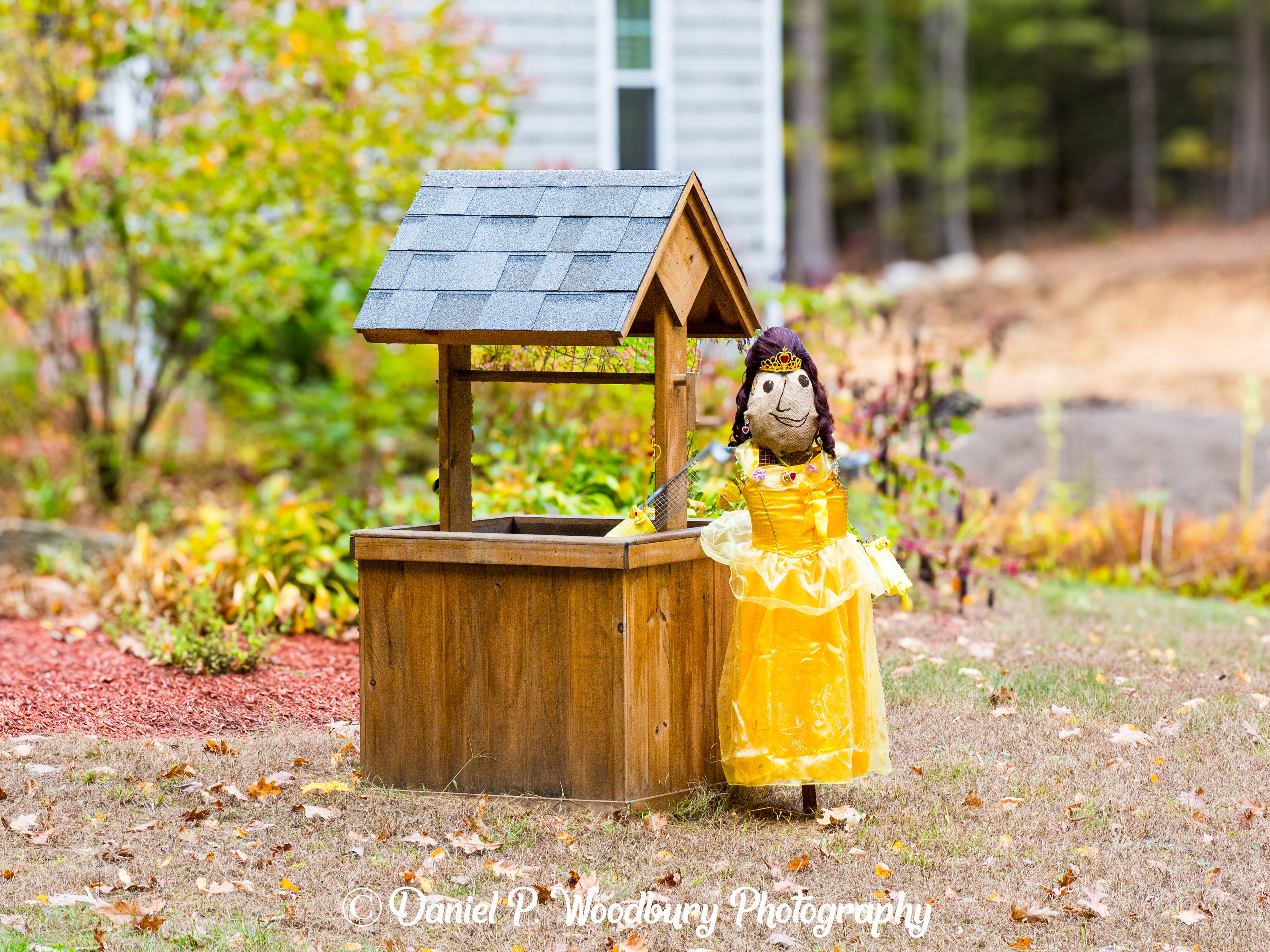 Wishin' Well Girl Scarecrow