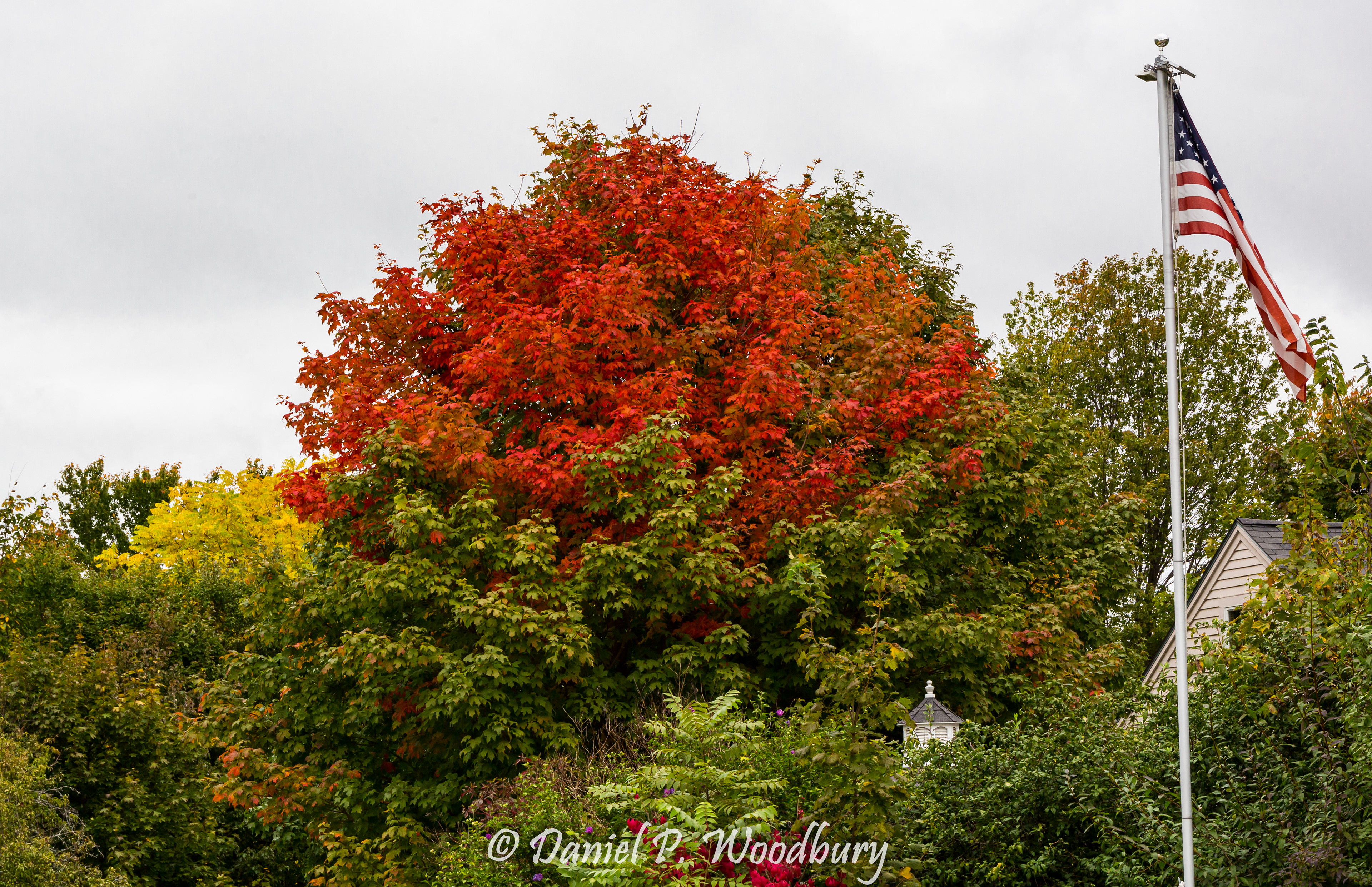 Autumn By The Flag
