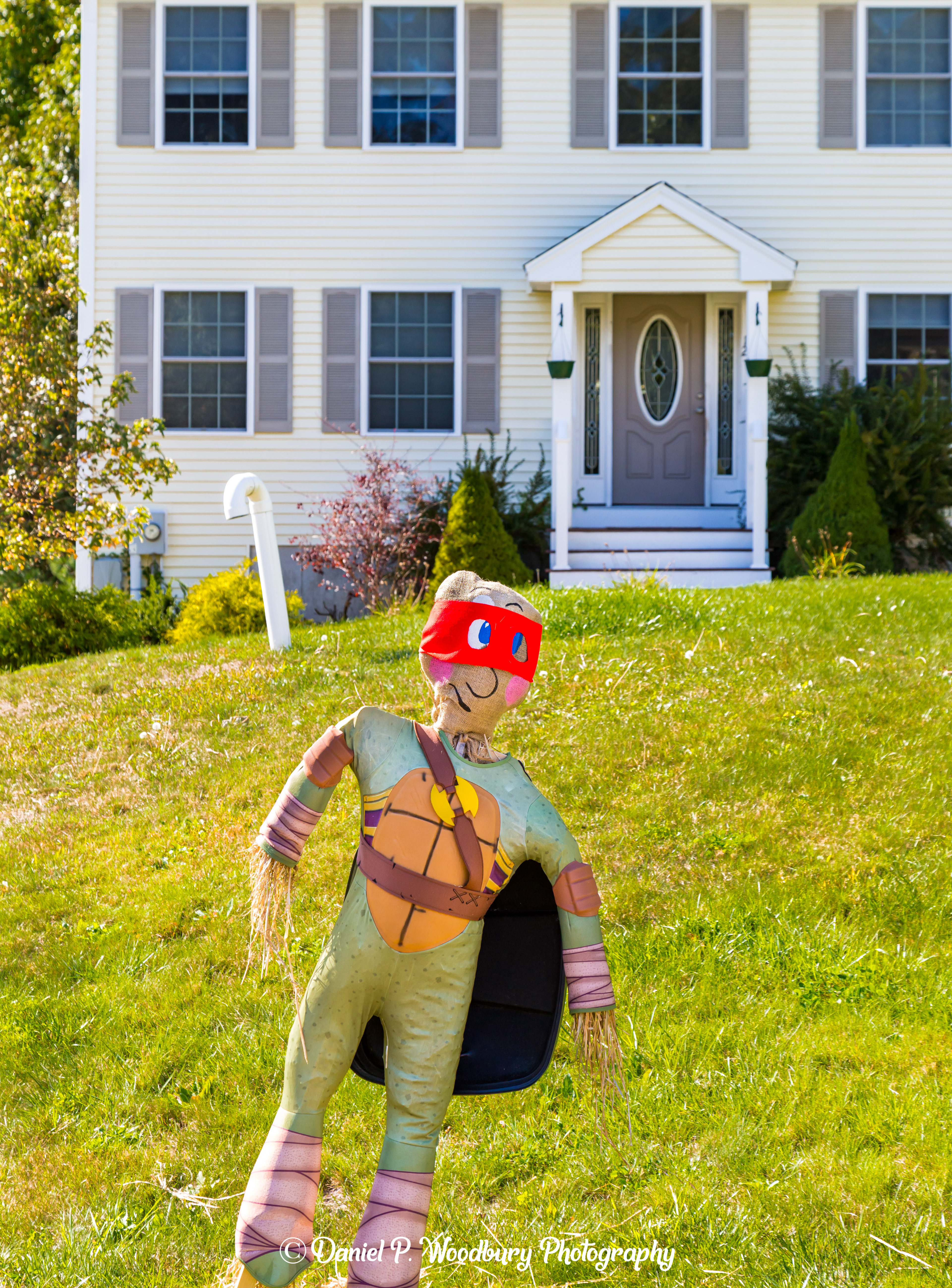 Ninja Turtle Scarecrow