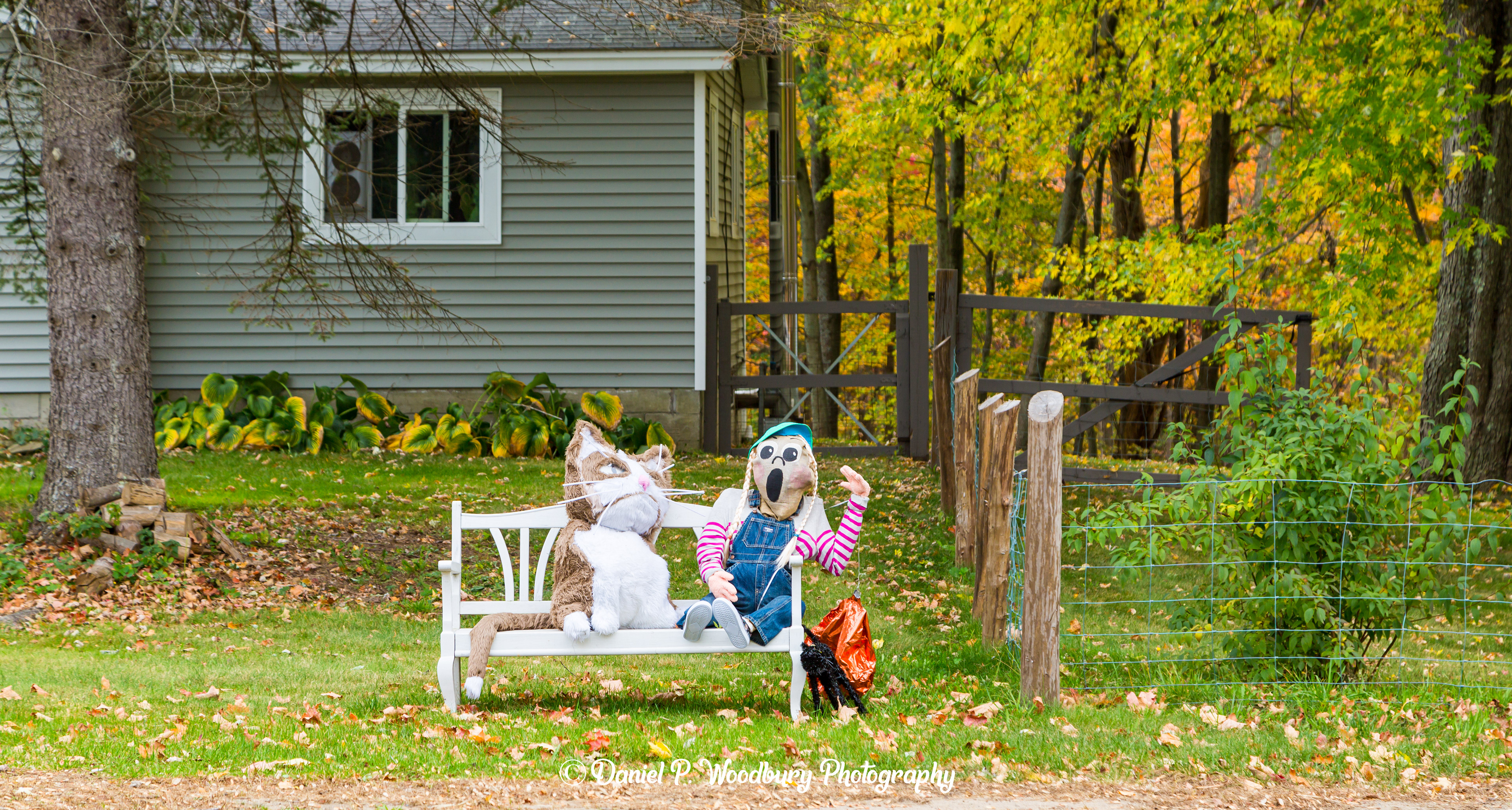 Cat Lady Scarecrow