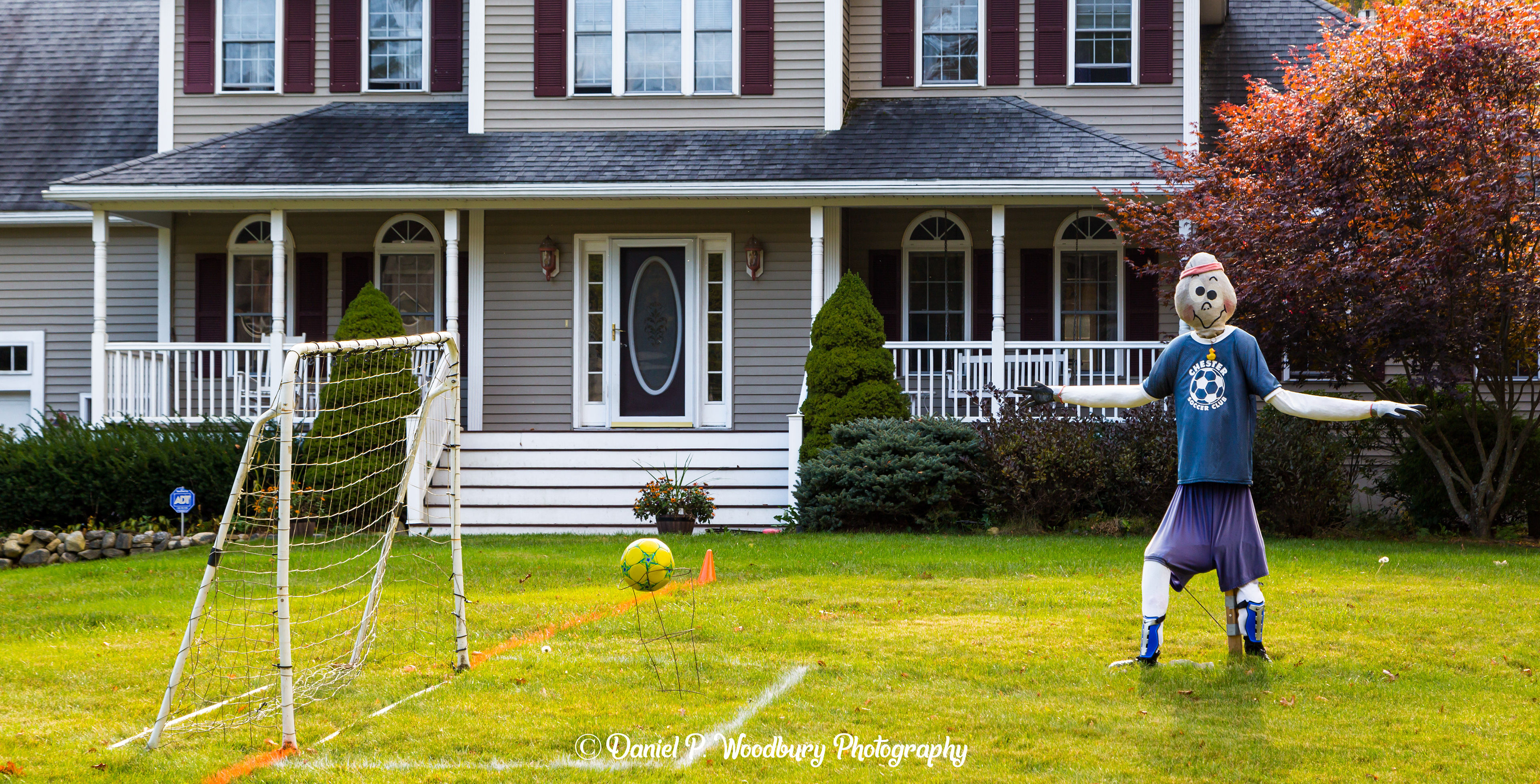 Soccer Scarecrow