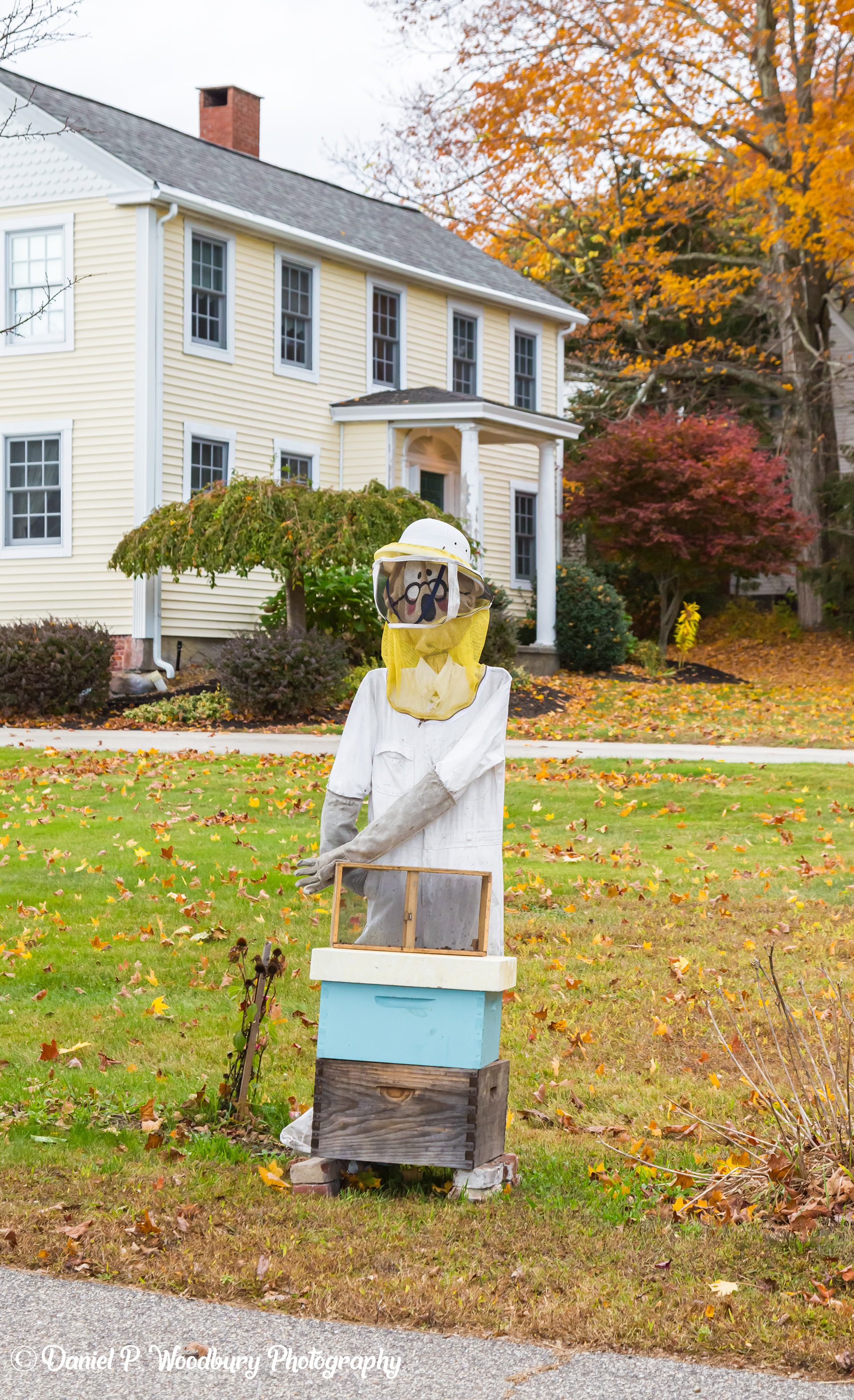 Bee Keepin' Scarecrow