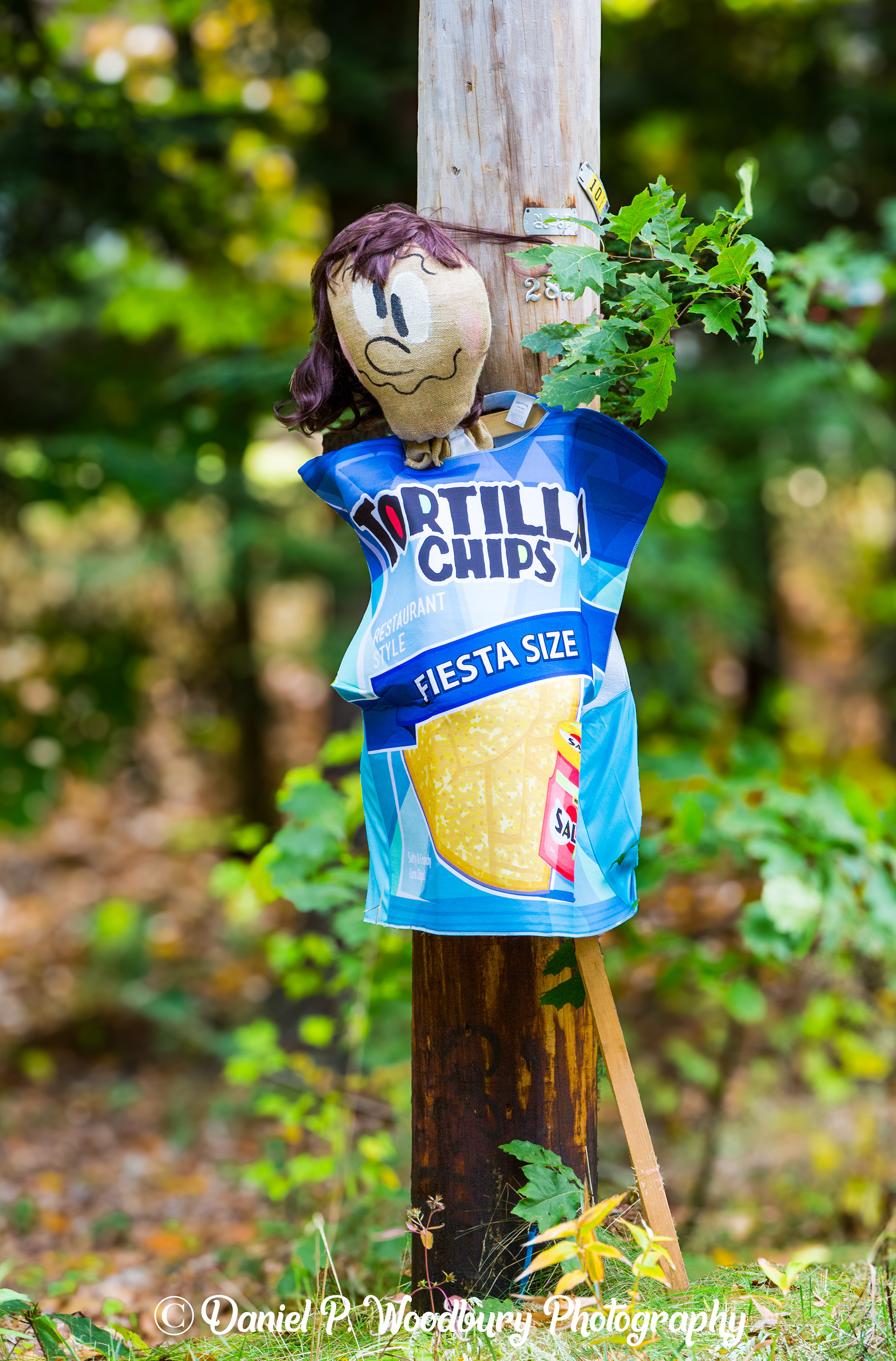Tortilla Lovin' Scarecrow