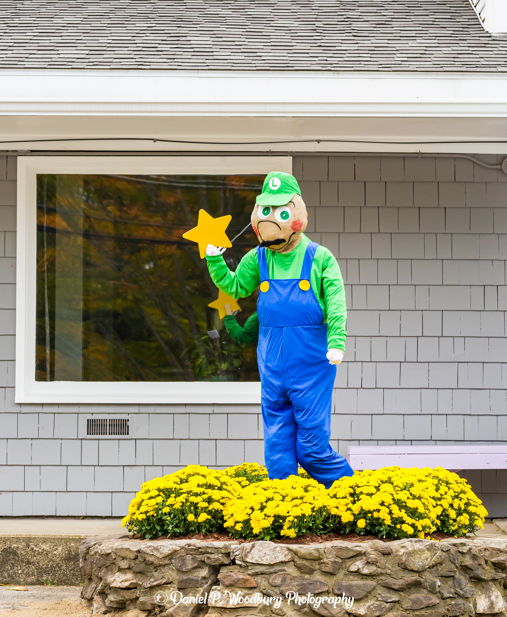 Luigi Scarecrow