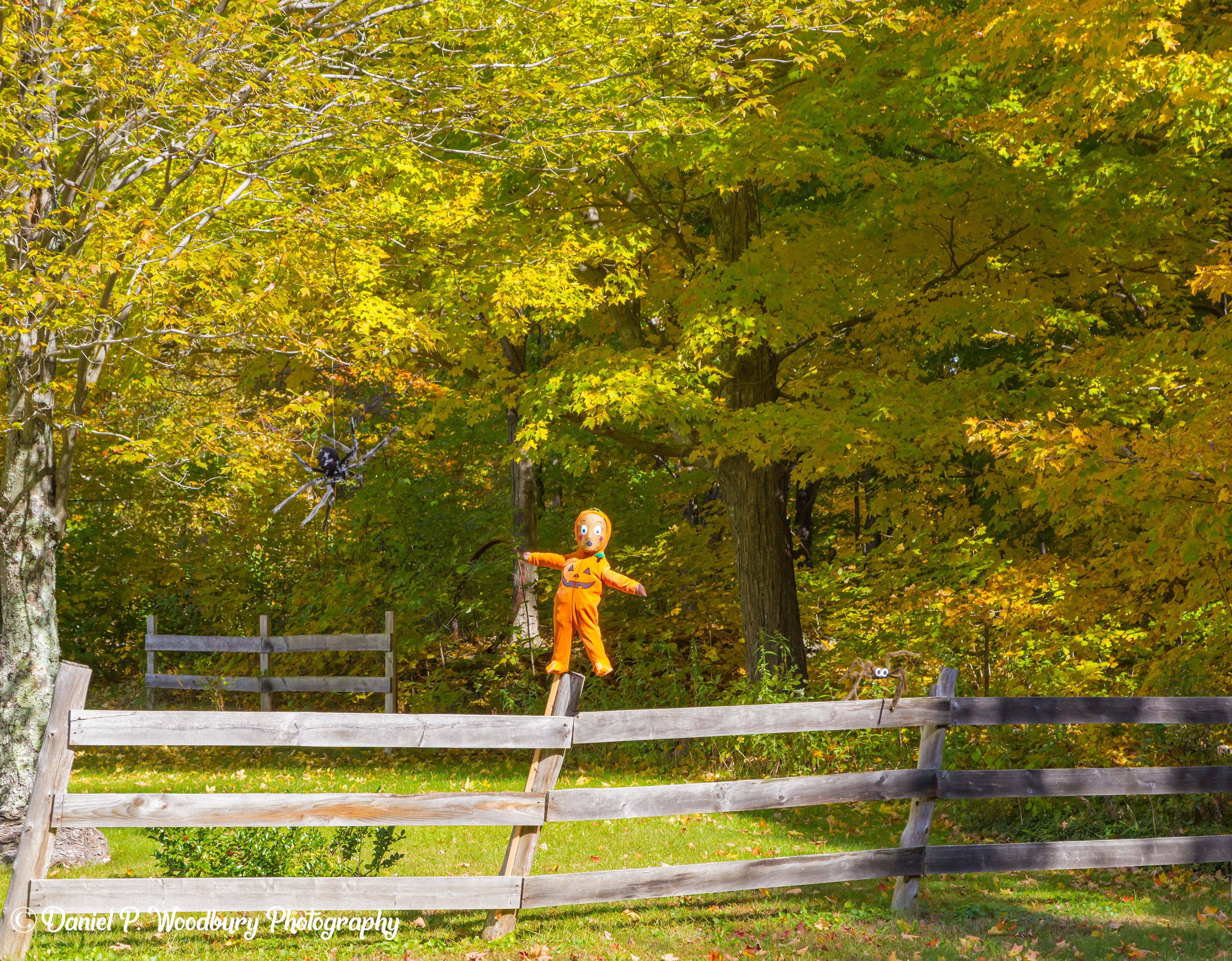 Balancin' Baby Scarecrow