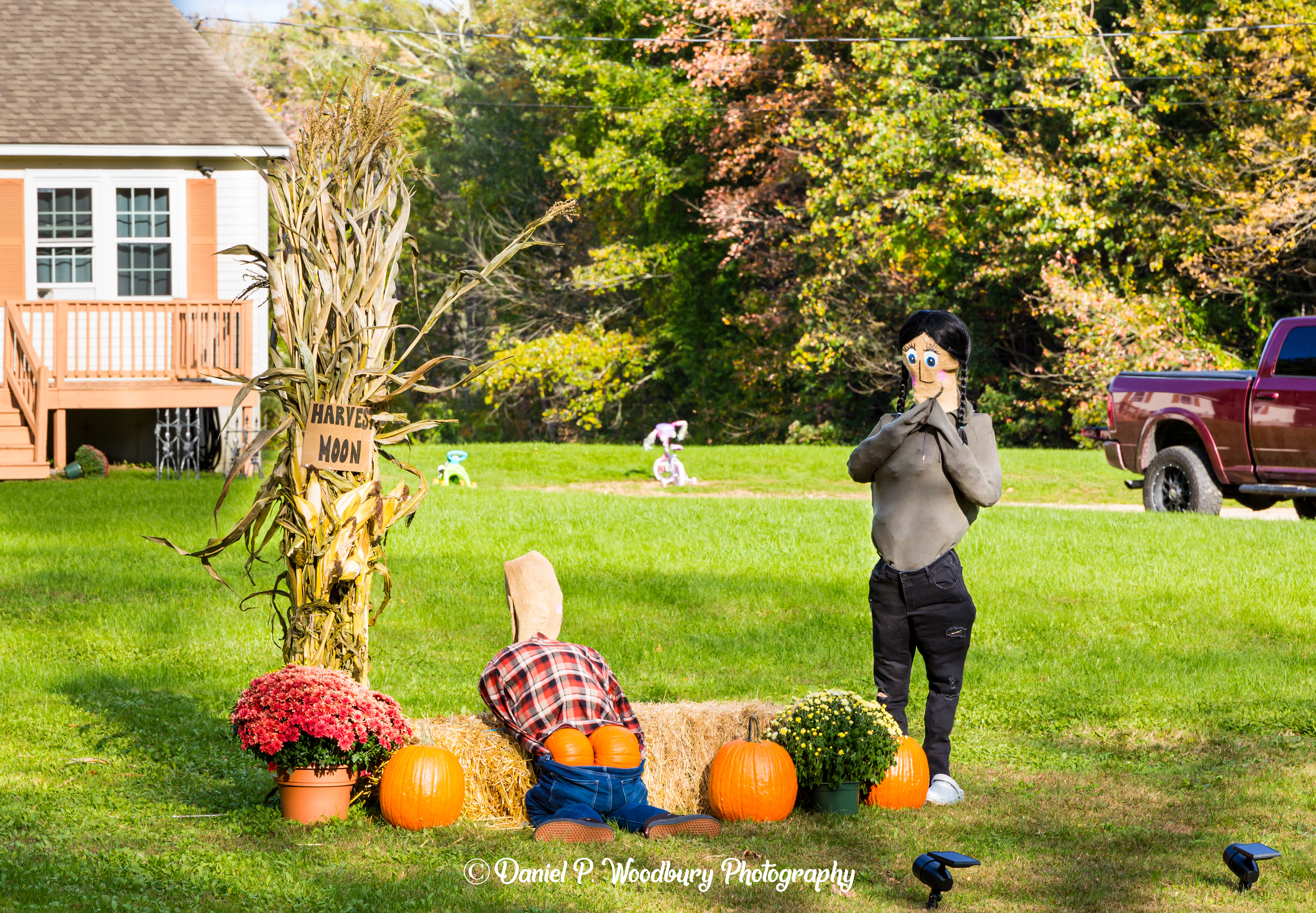 Harvest Moonin' Scarecrows