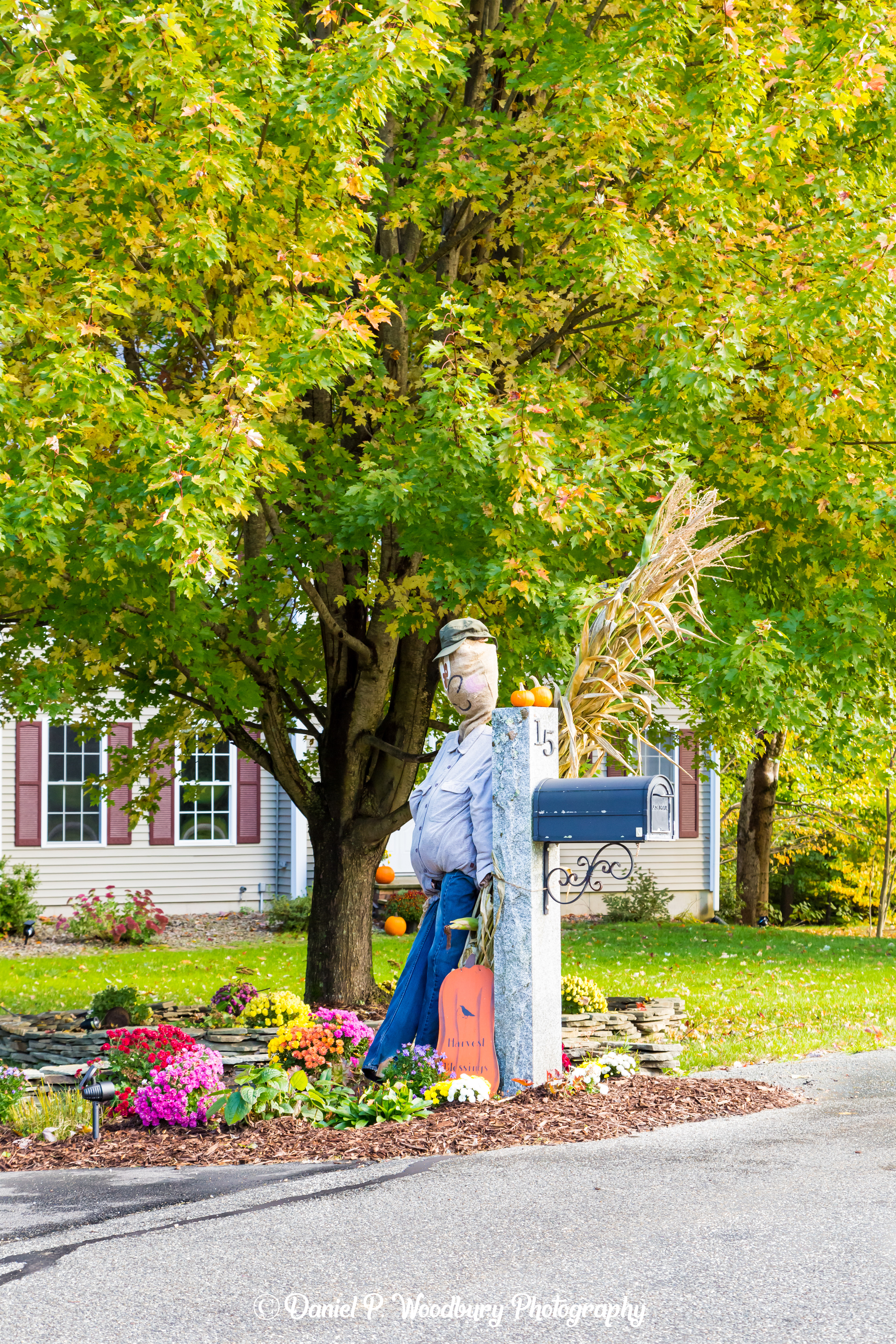 Mail Waitin' Scarecrow