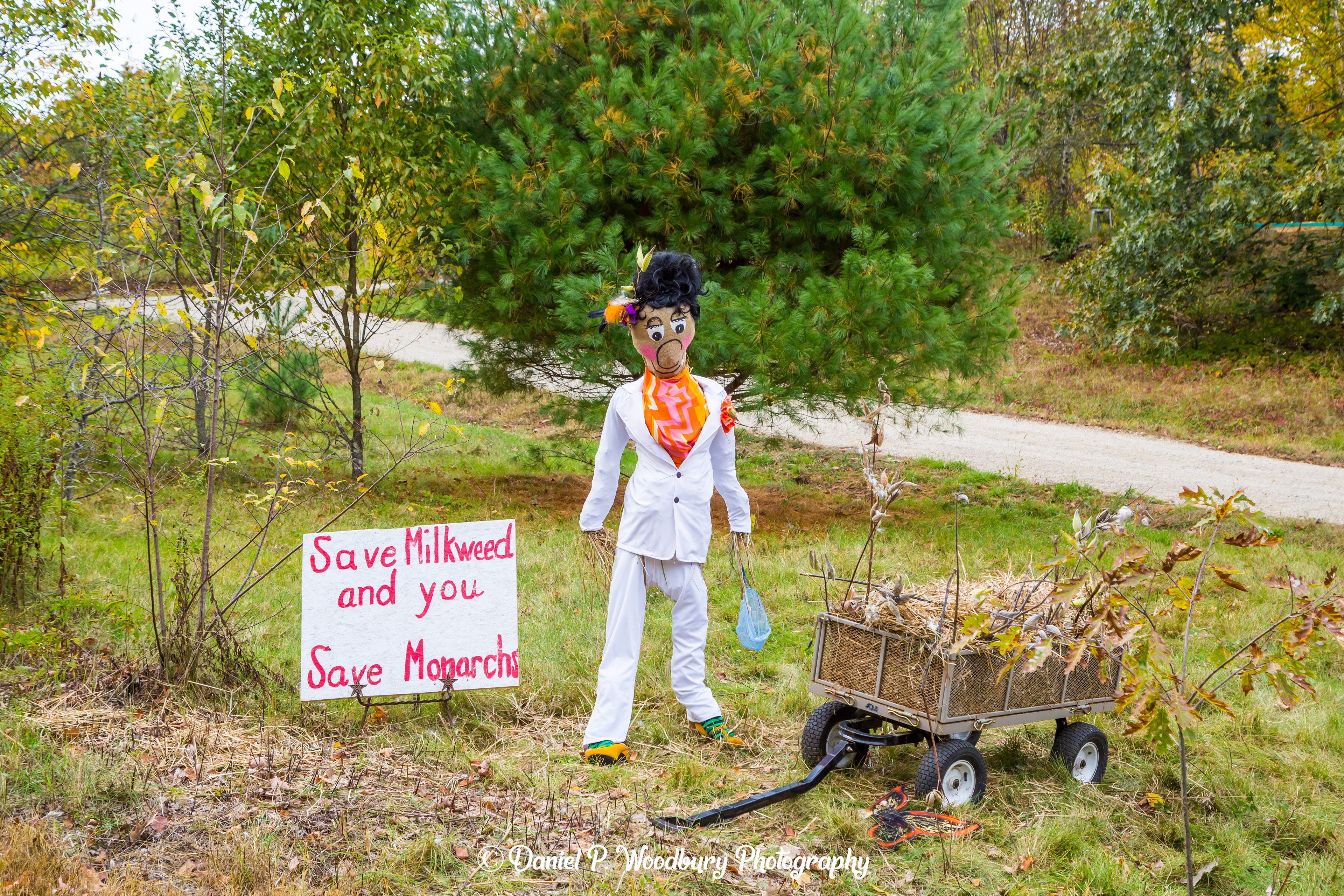 Milkweed Savin' Scarecrow