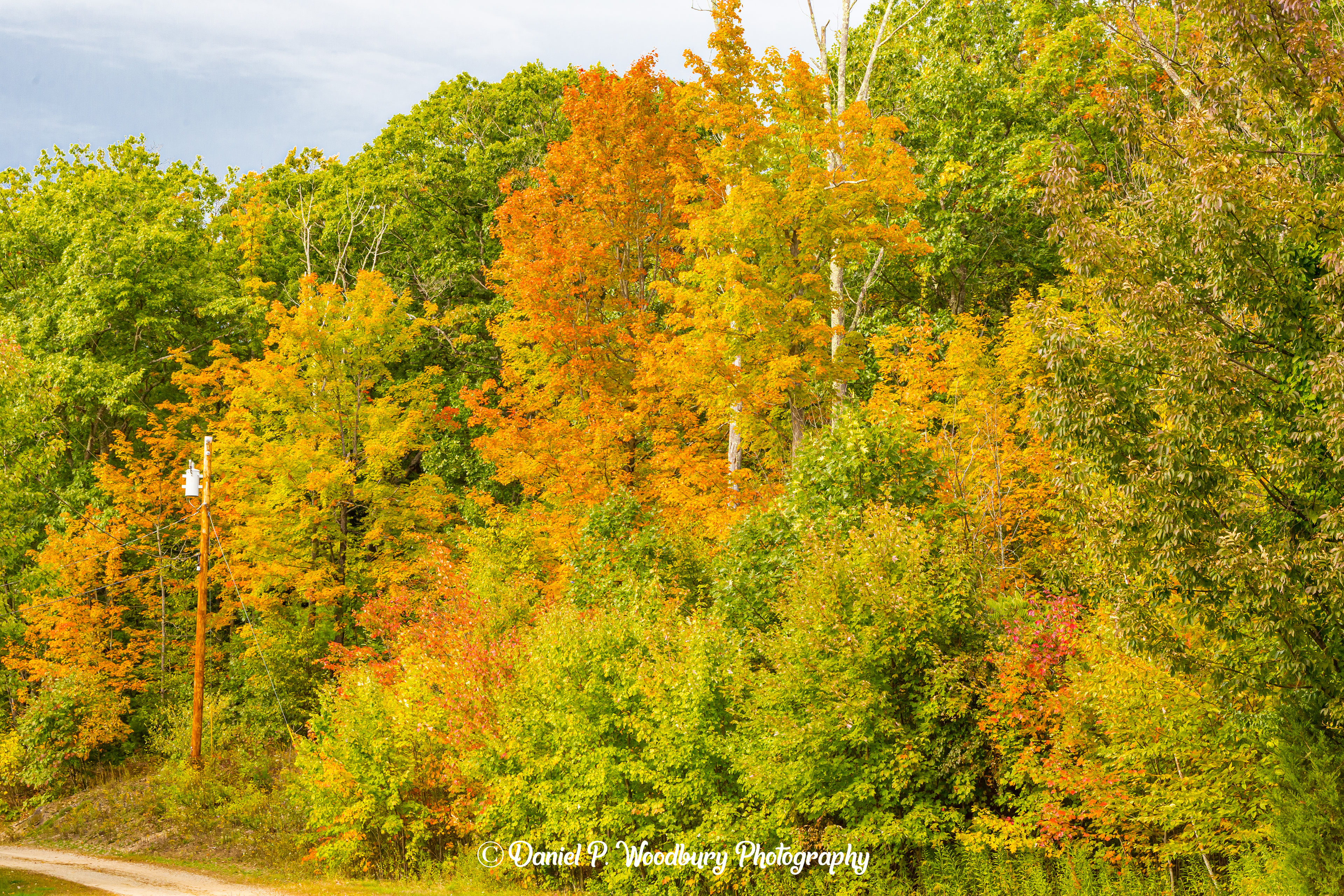 Chester, NH Foliage