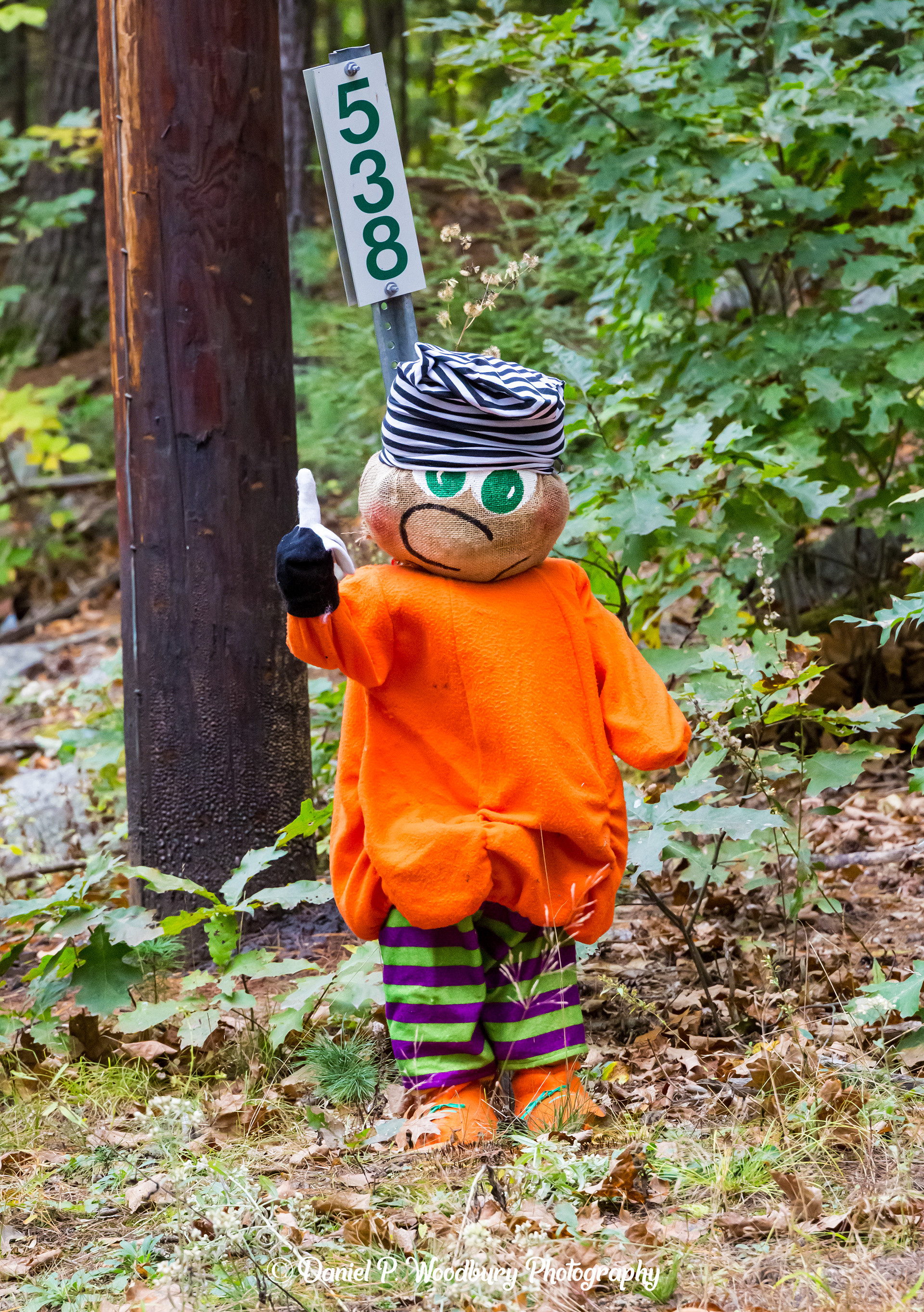 Trick Or Treatin' Scarecrow