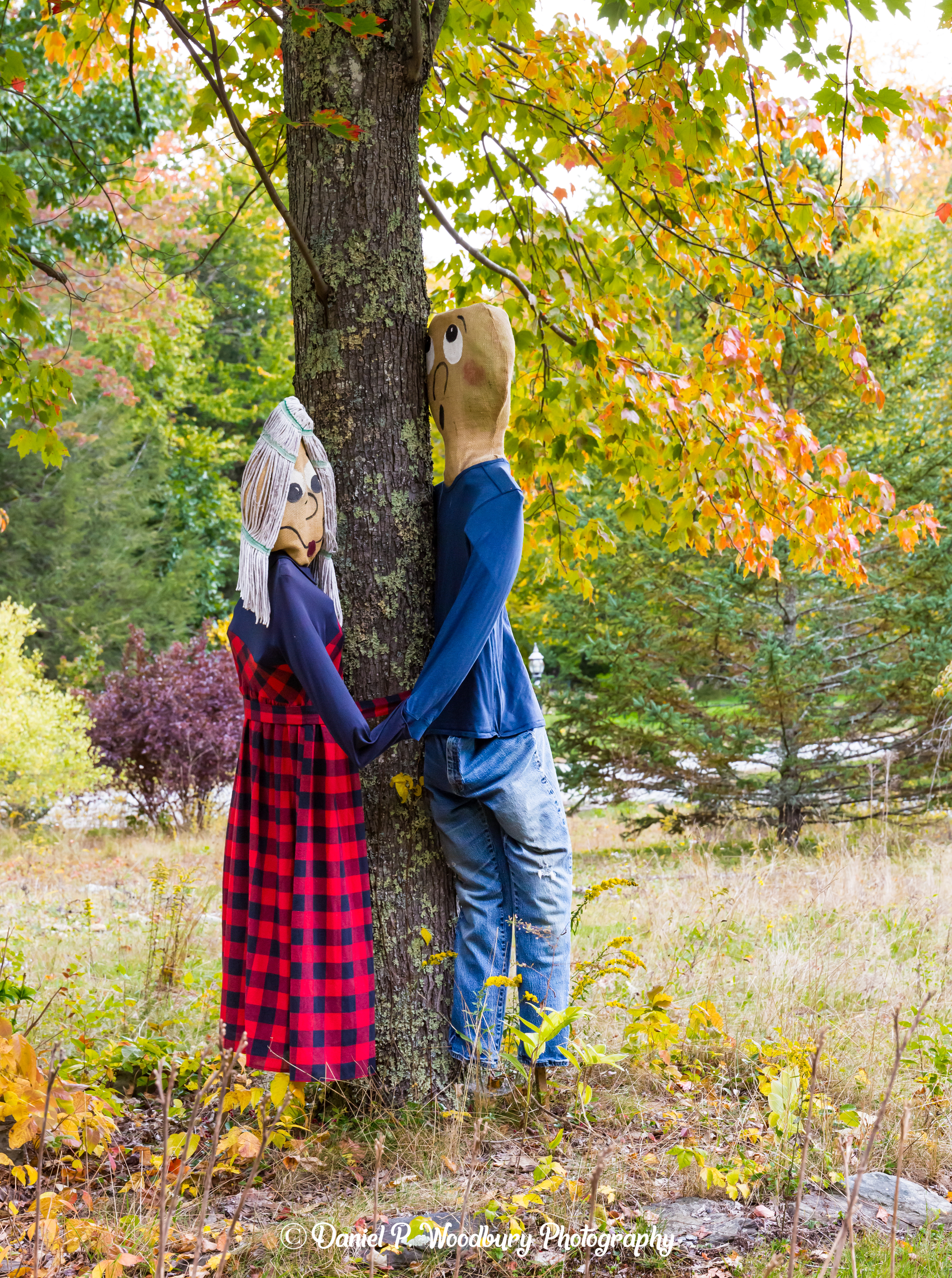 Young Lovin' Scarecrows