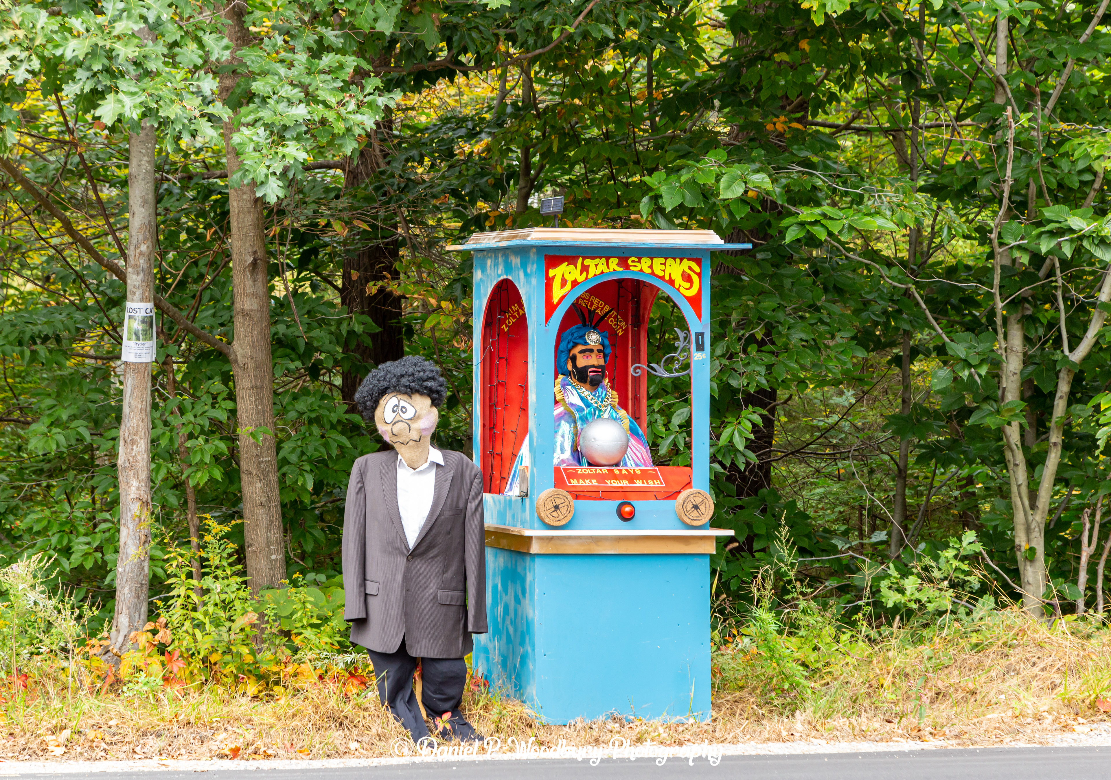 BIG Scarecrow