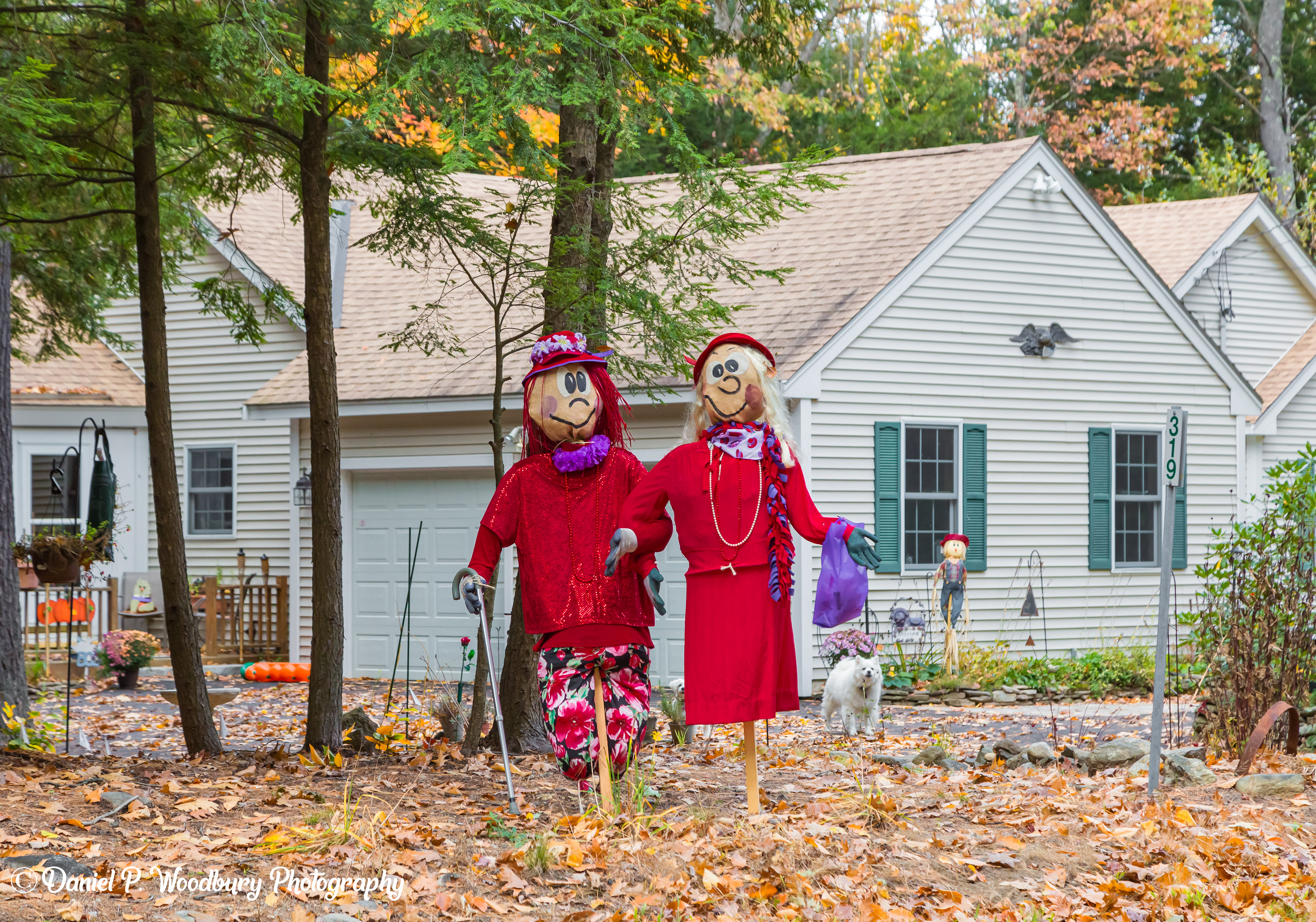 Old Lady Shoppin' Scarecrows