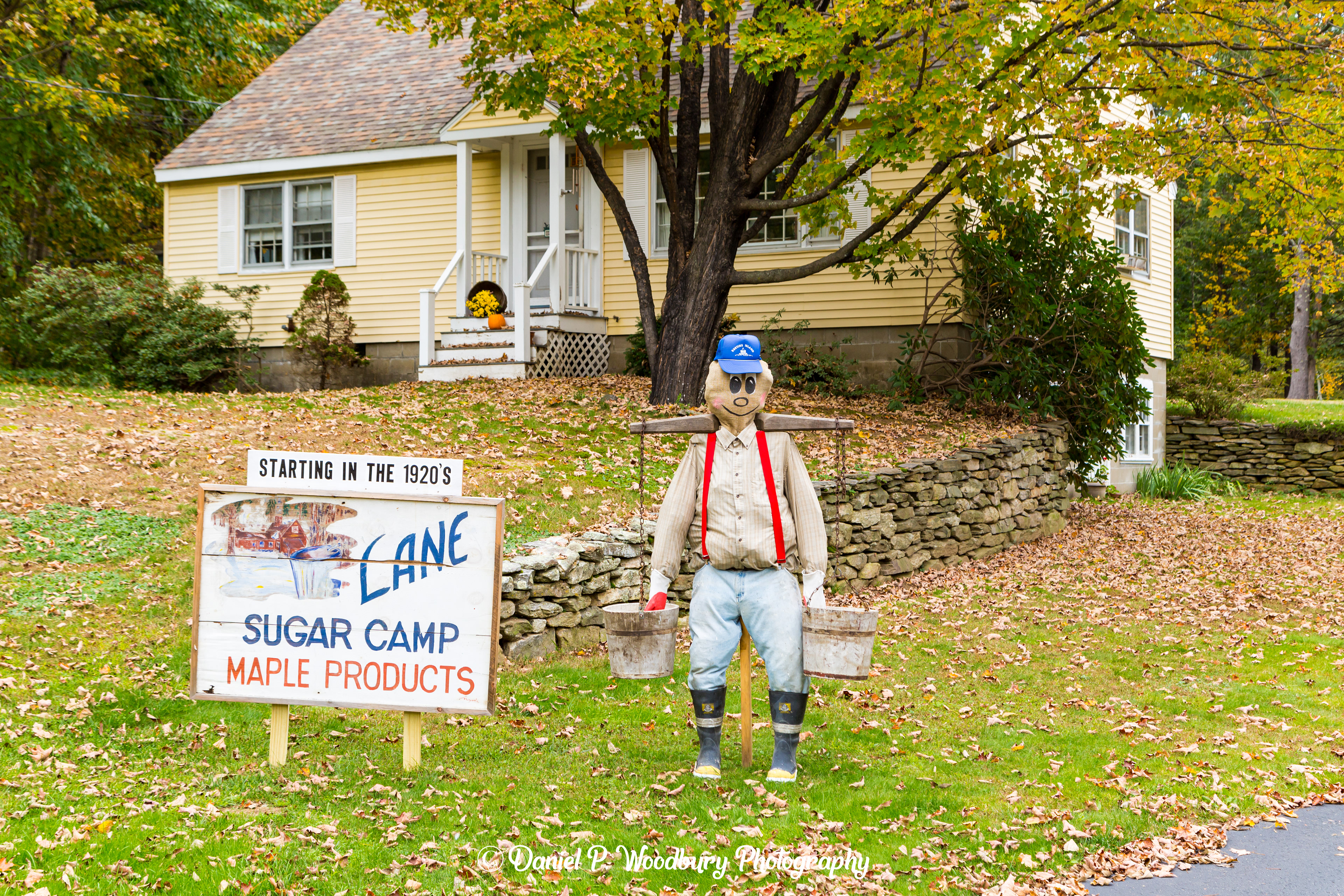 Maple Syrup Scarecrow