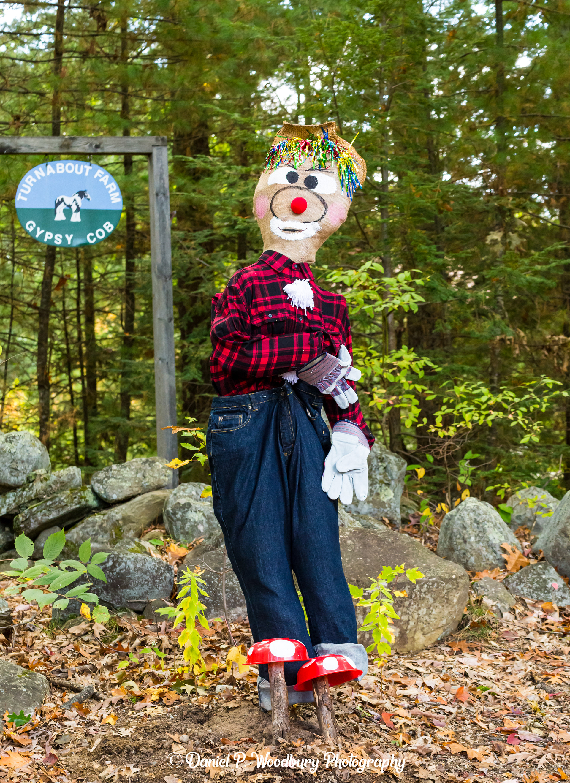 Clown Scarecrow