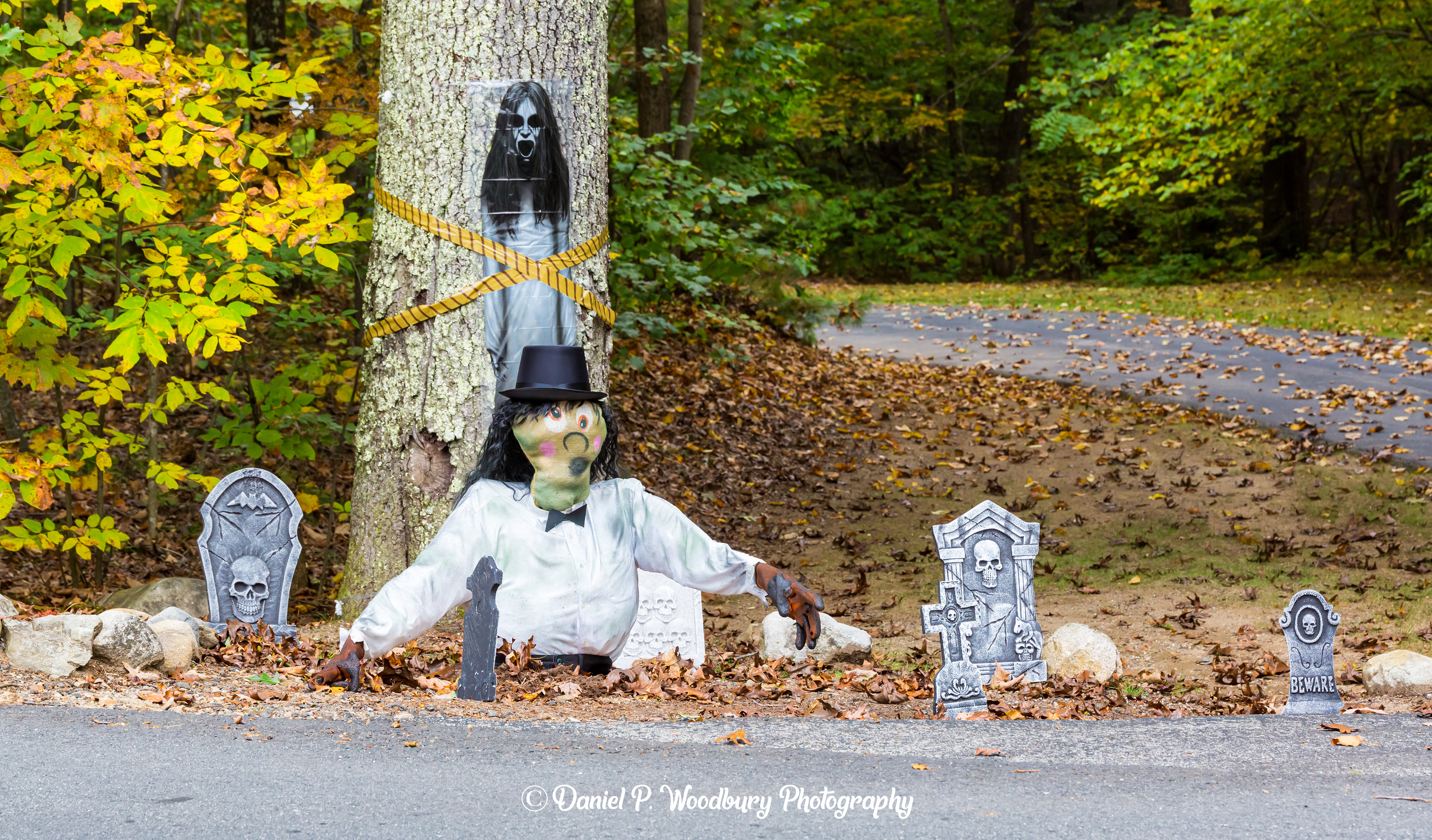 Newlydead Rising Scarecrow