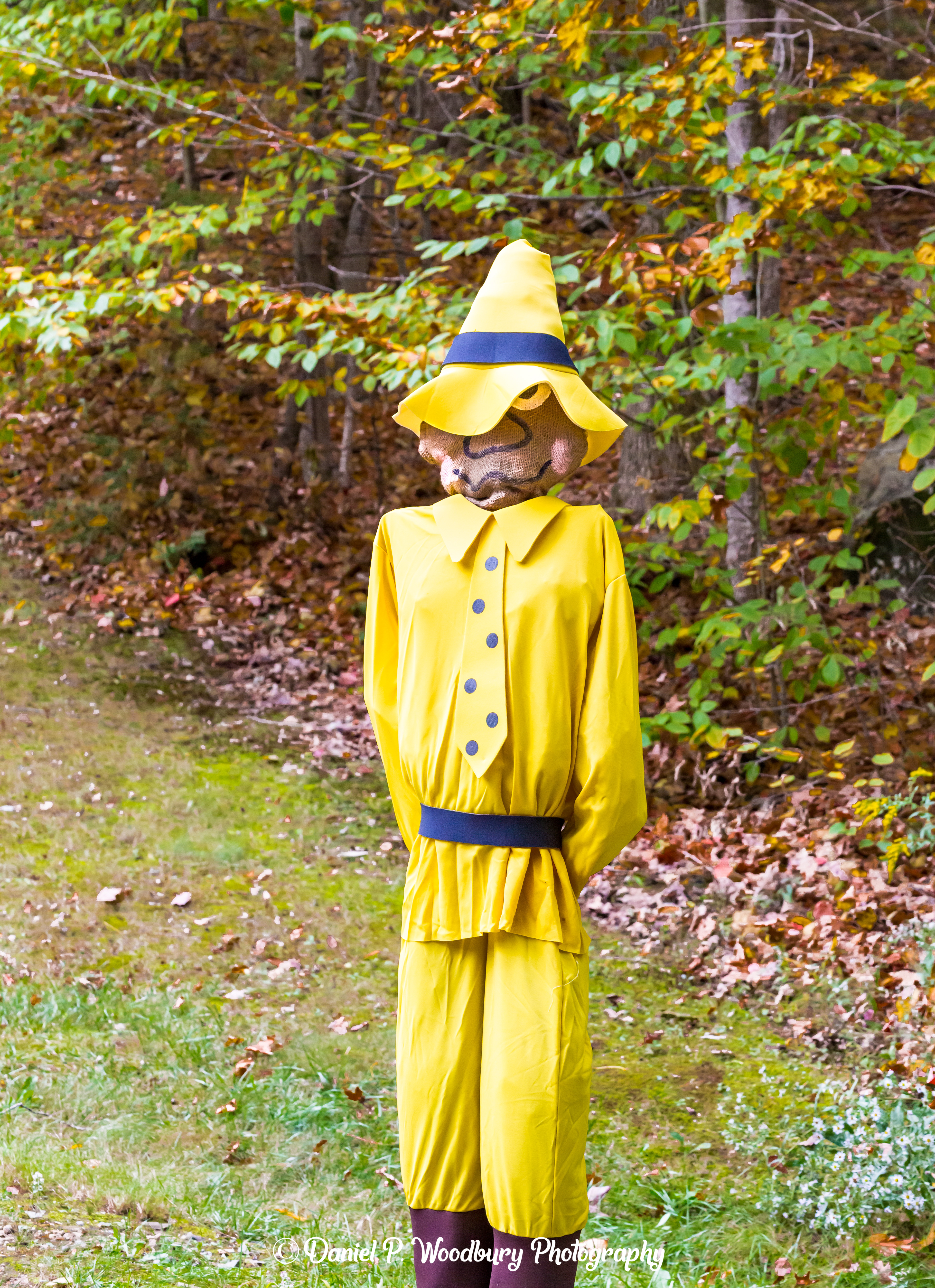 The Man With The Yellow Hat Scarecrow