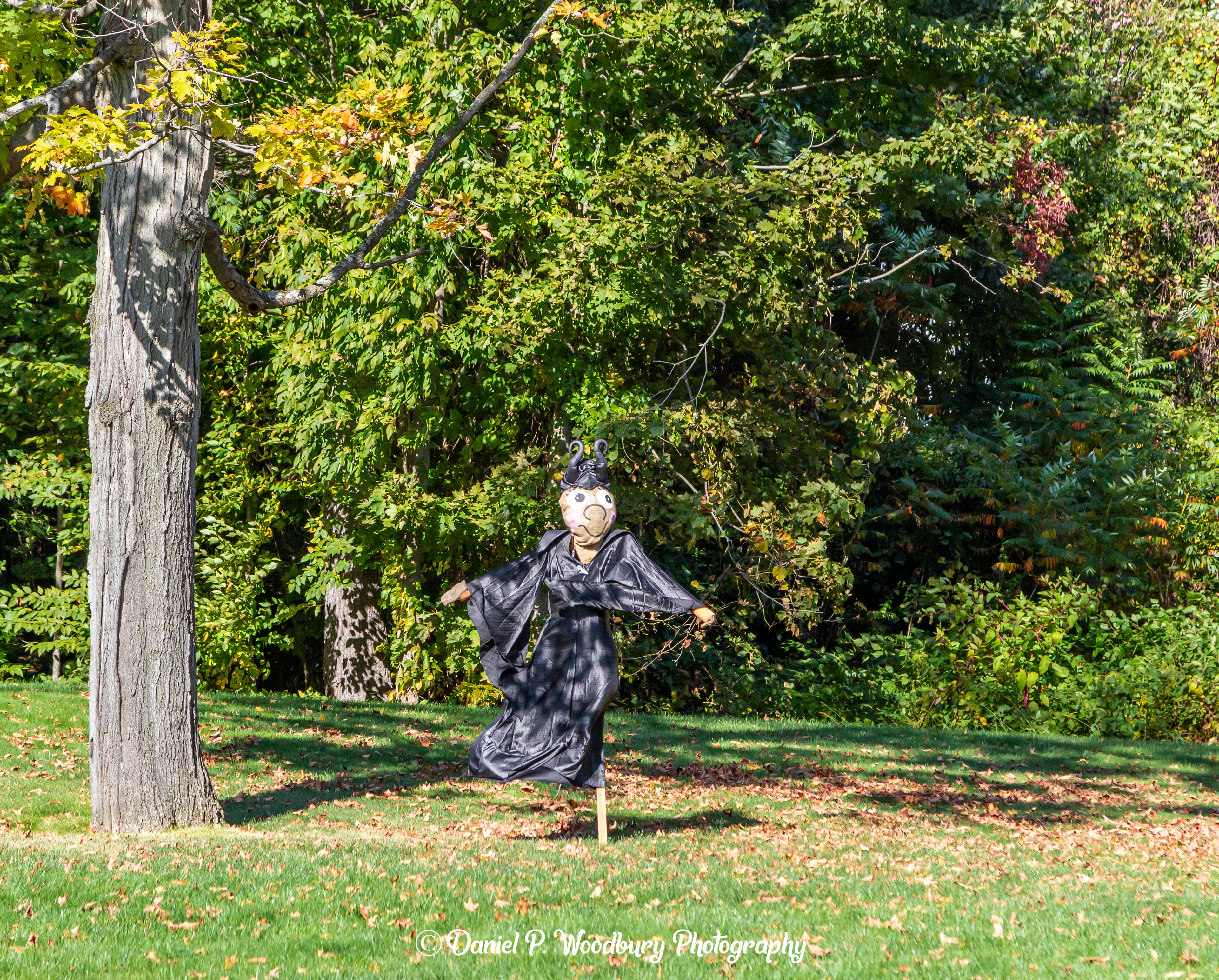 Maleficent Scarecrow