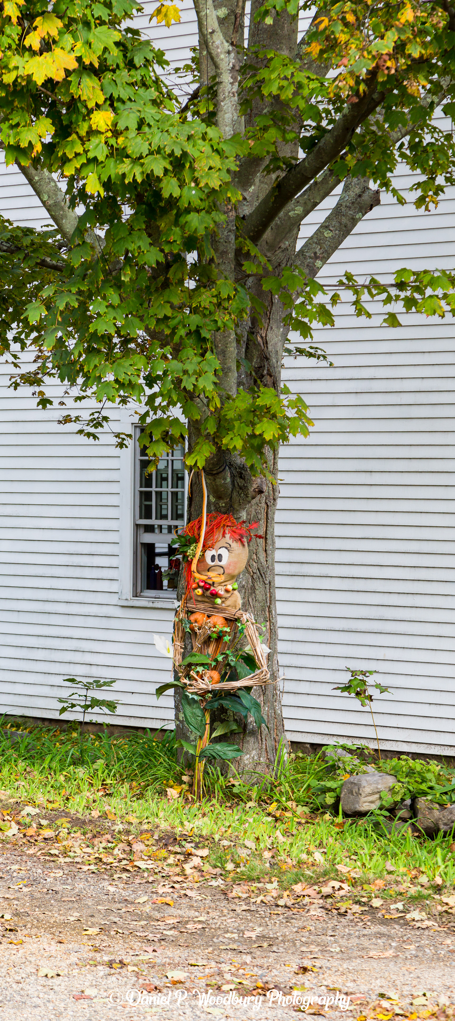 Amazon Jungle Scarecrow