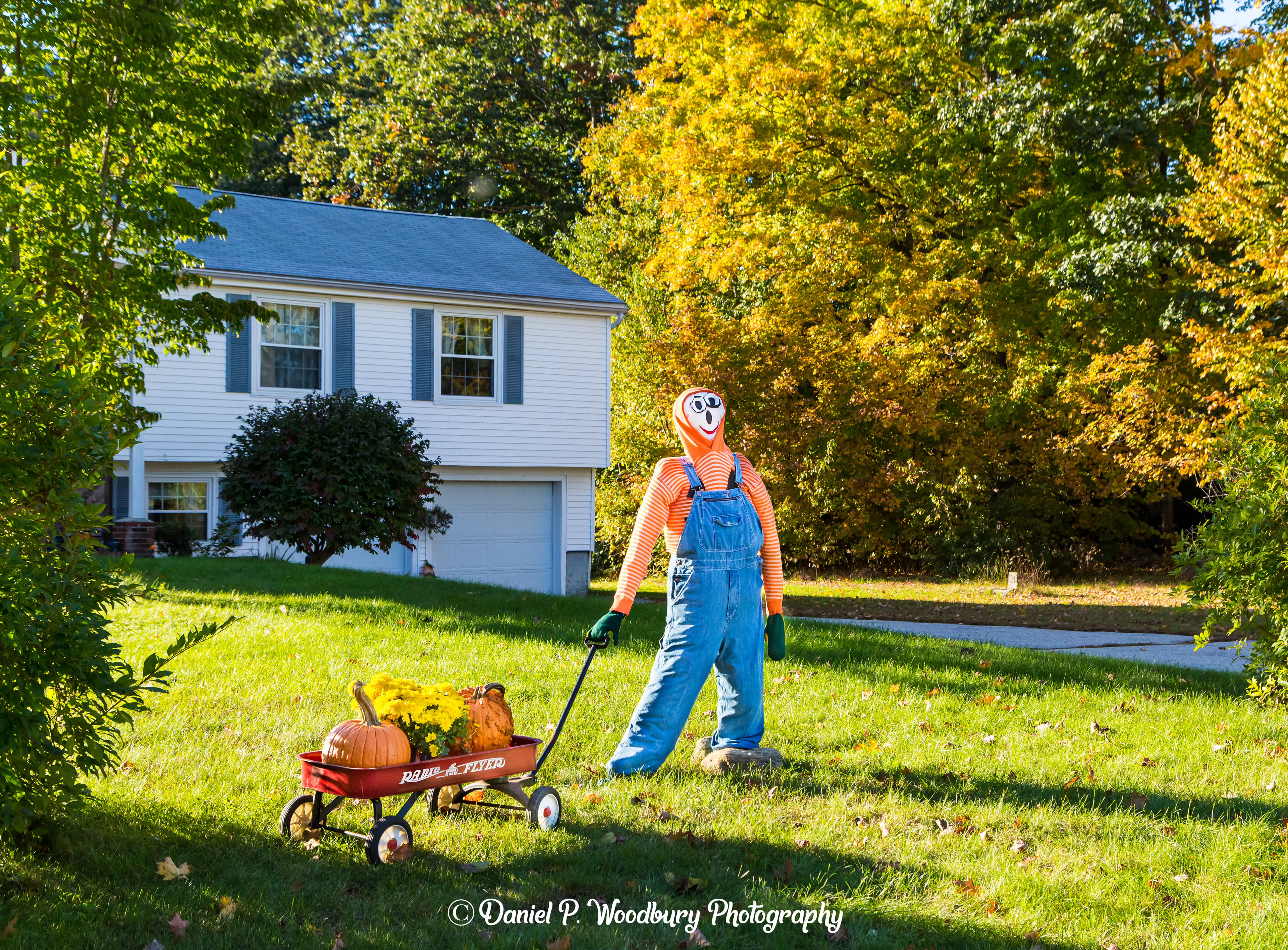 Pumpkin Pullin' Scarecrow