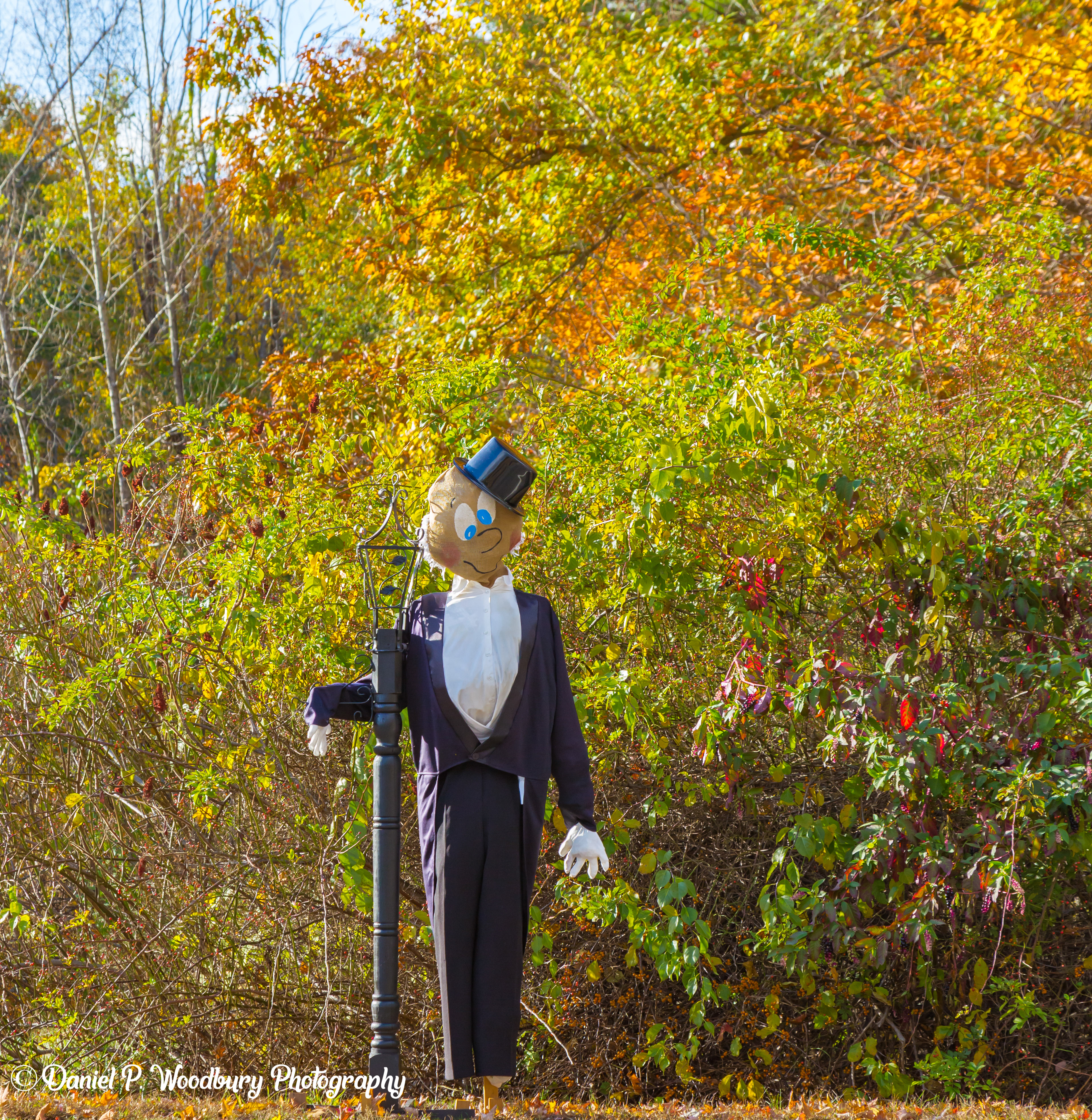 Mr. Party Scarecrow