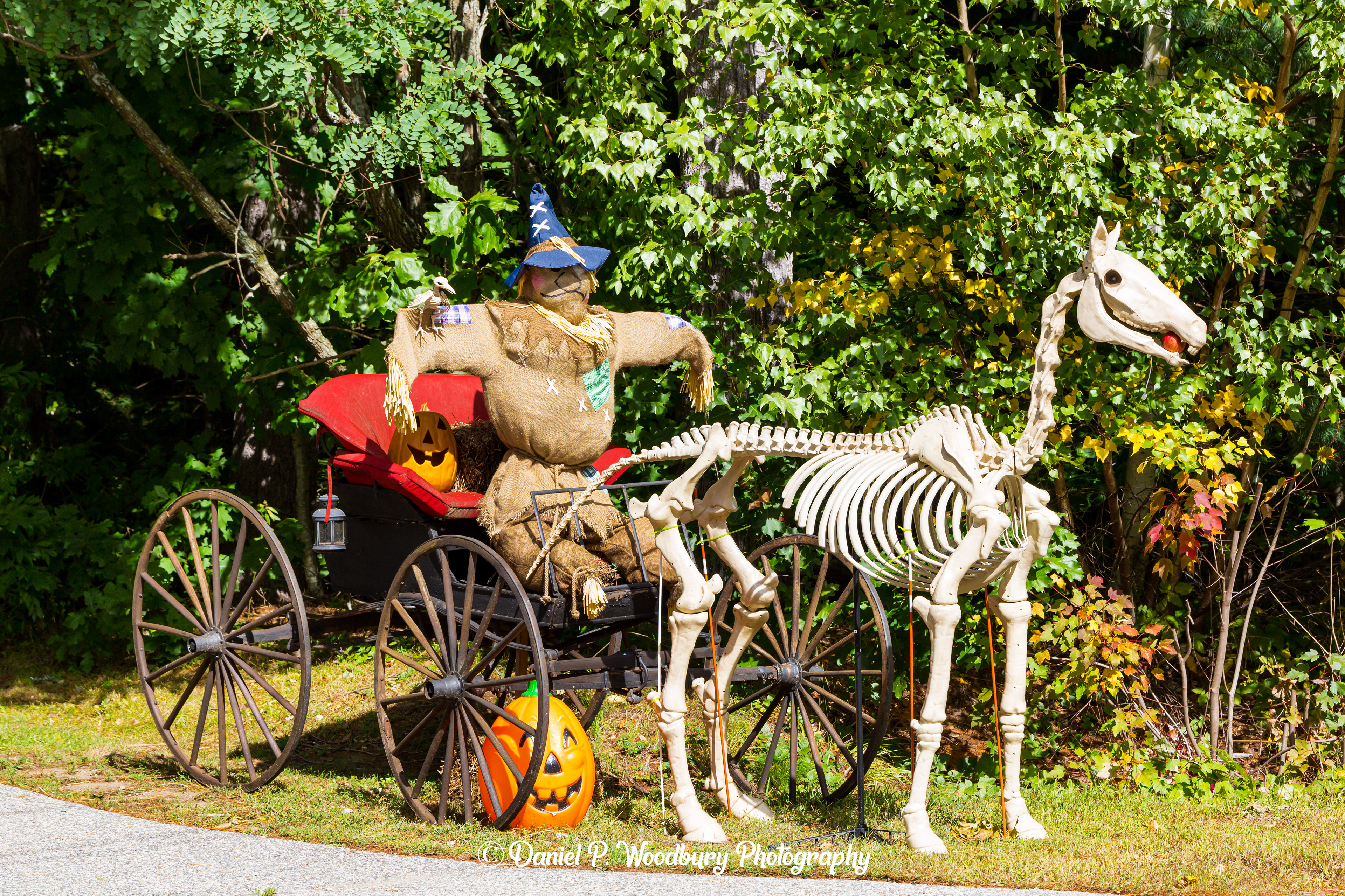 Dino Ridin' Scarecrow