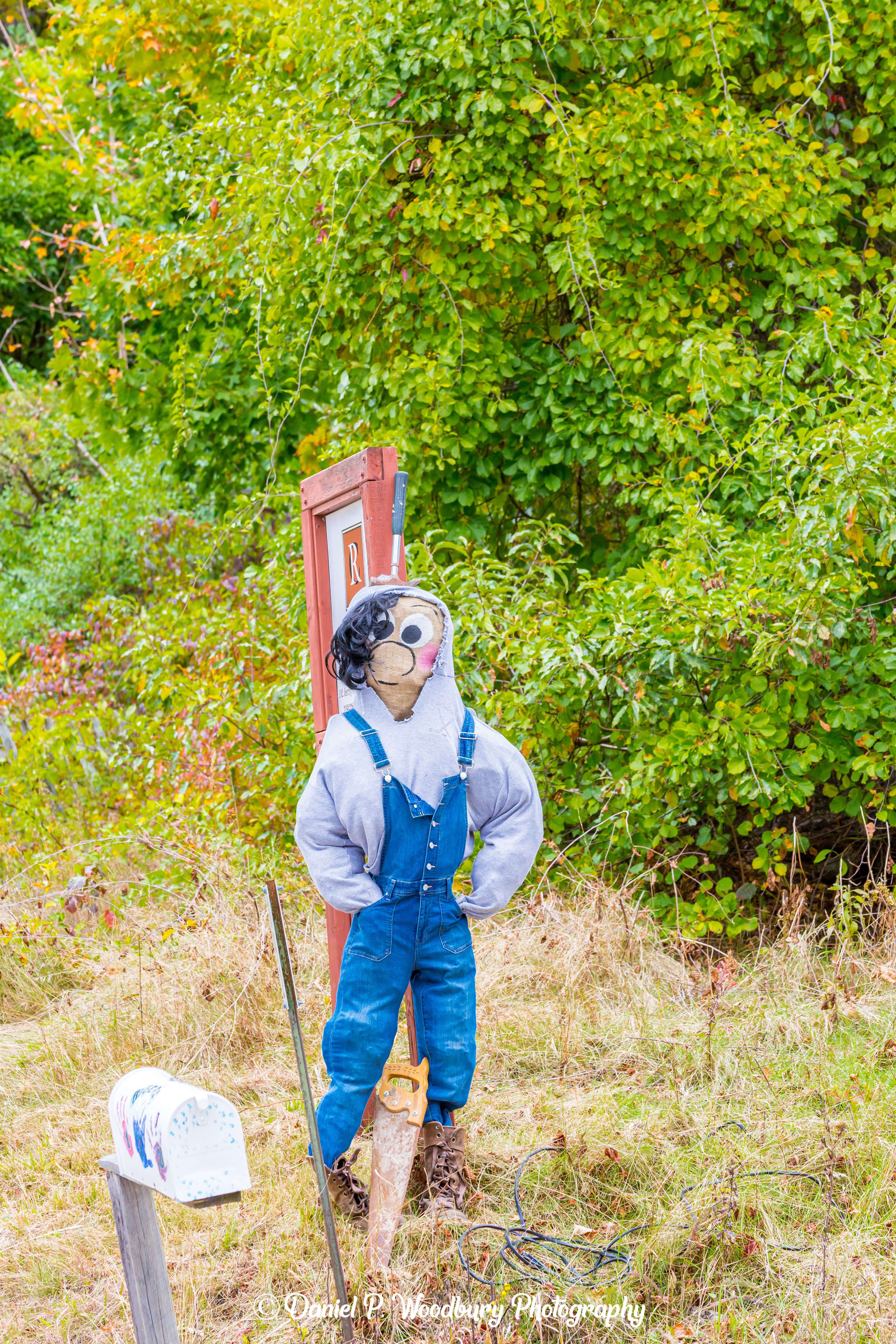 Sawin' Scarecrow