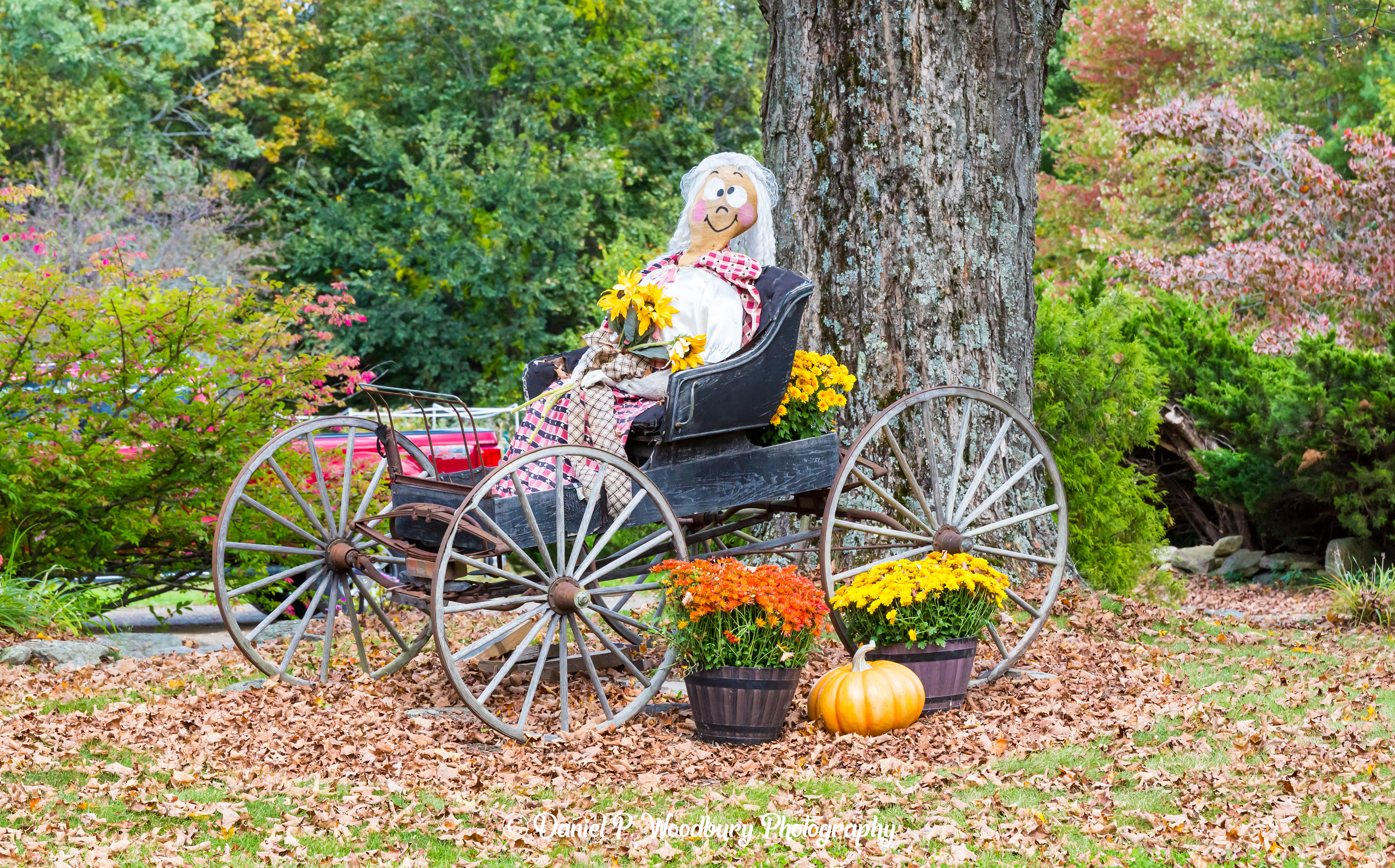 Autum Ridin' Scarecrow