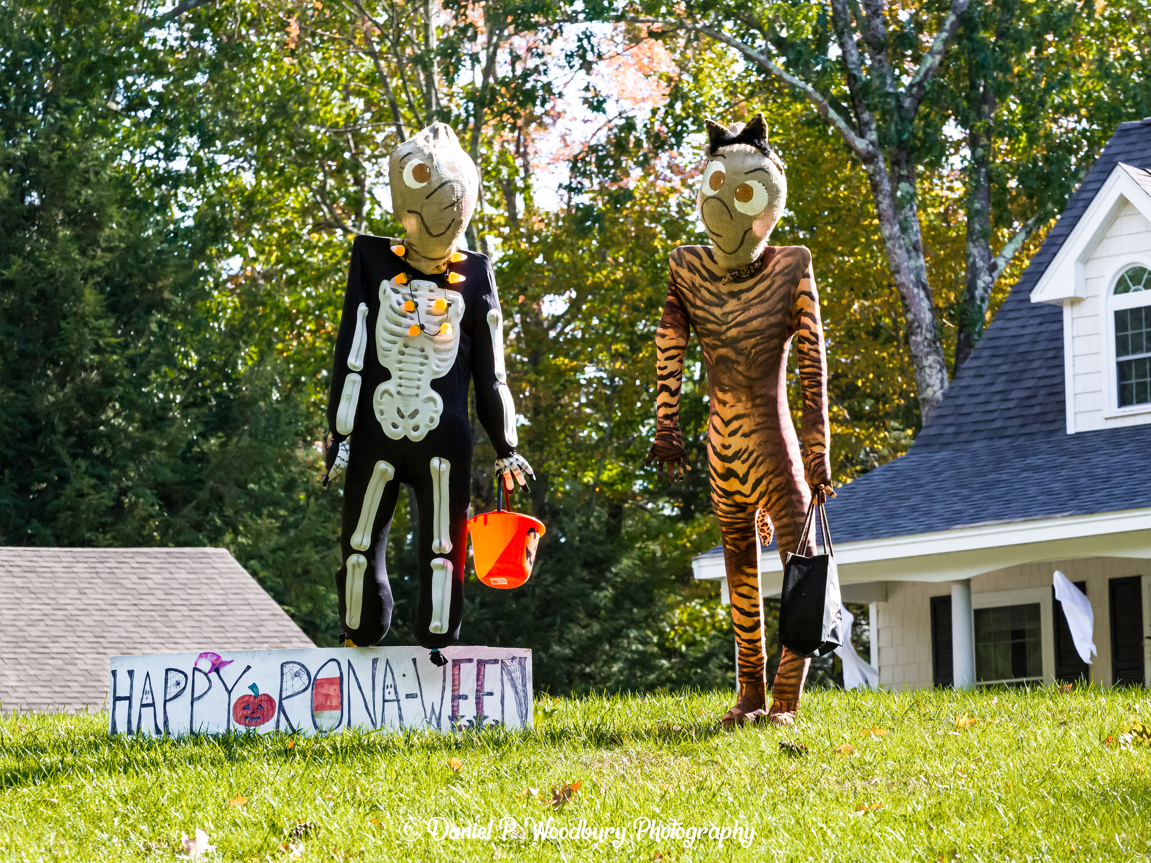 Happy Rona-Ween Scarecrows