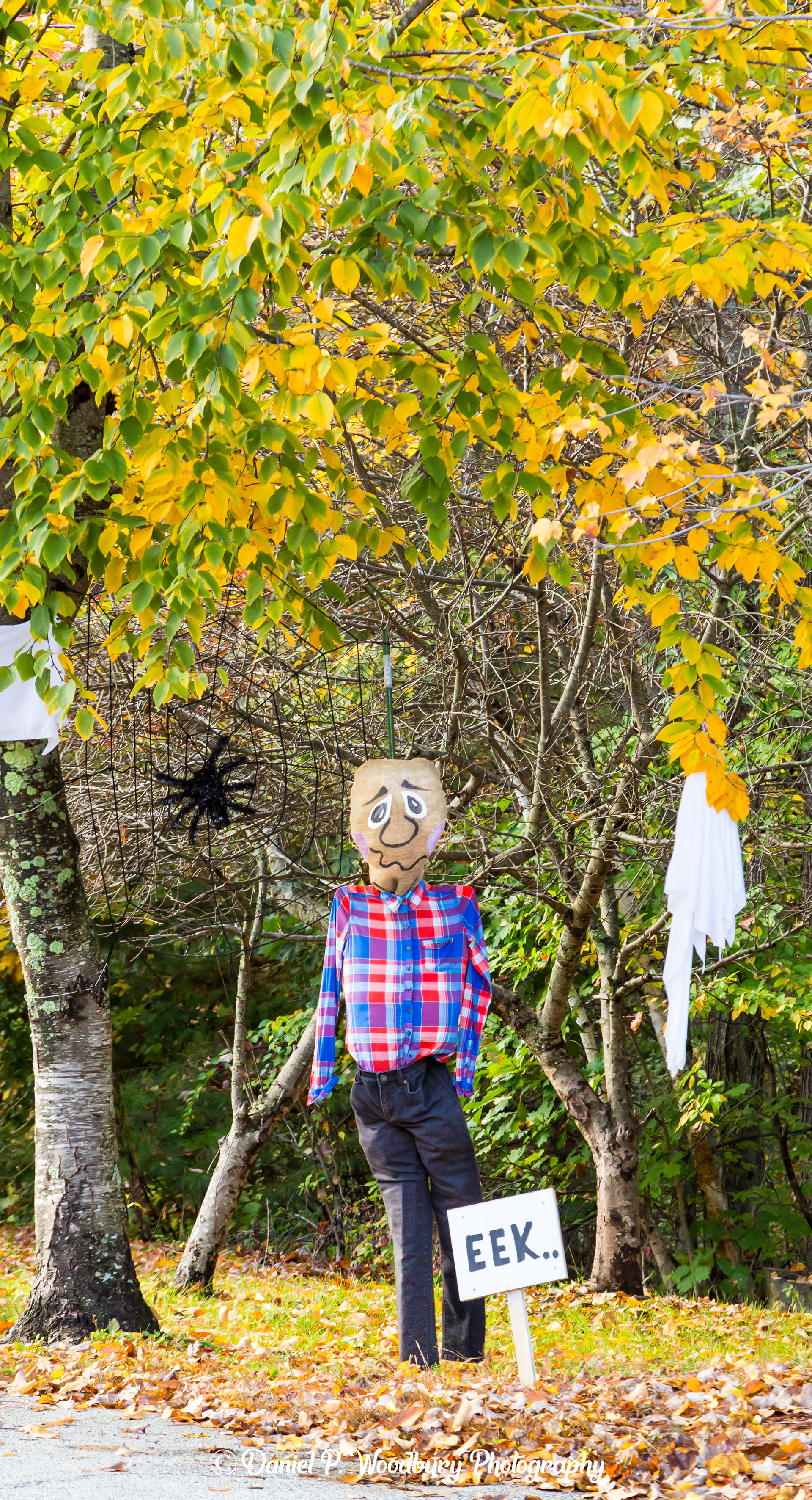Scared Scarecrow