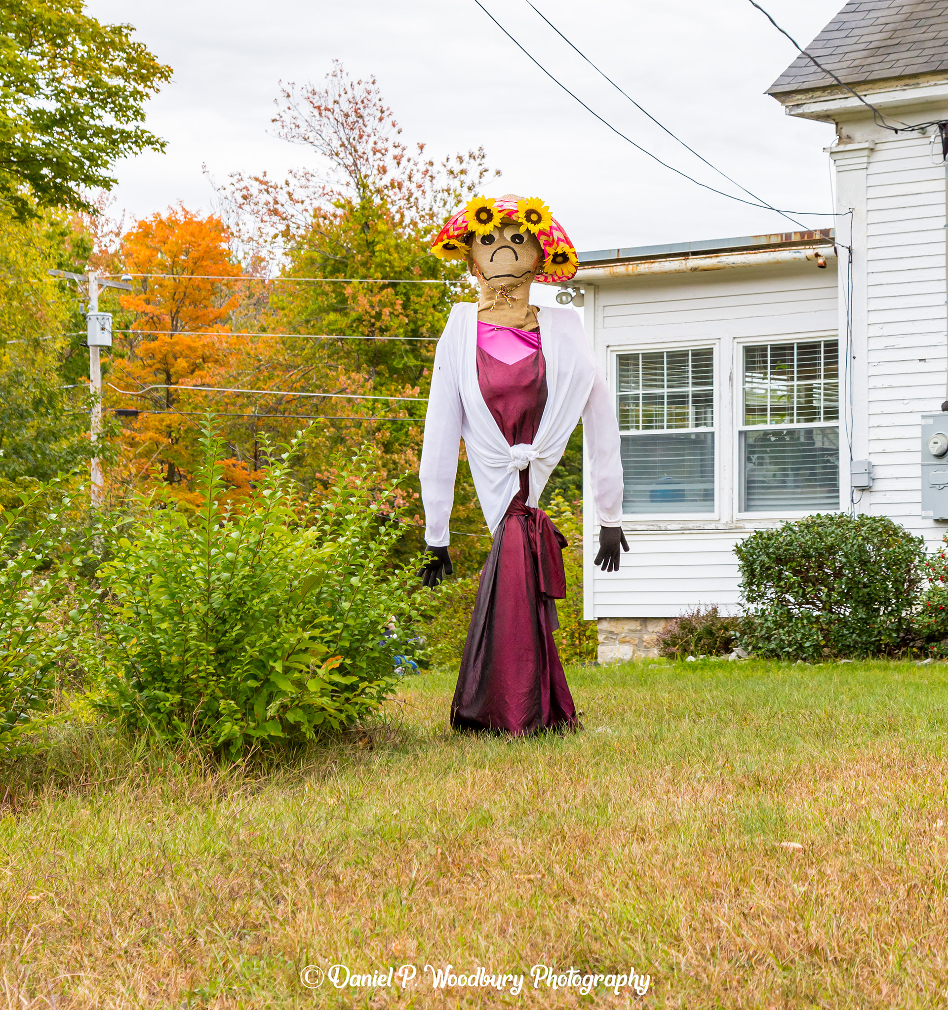 Sunflower Lady Scarecrow