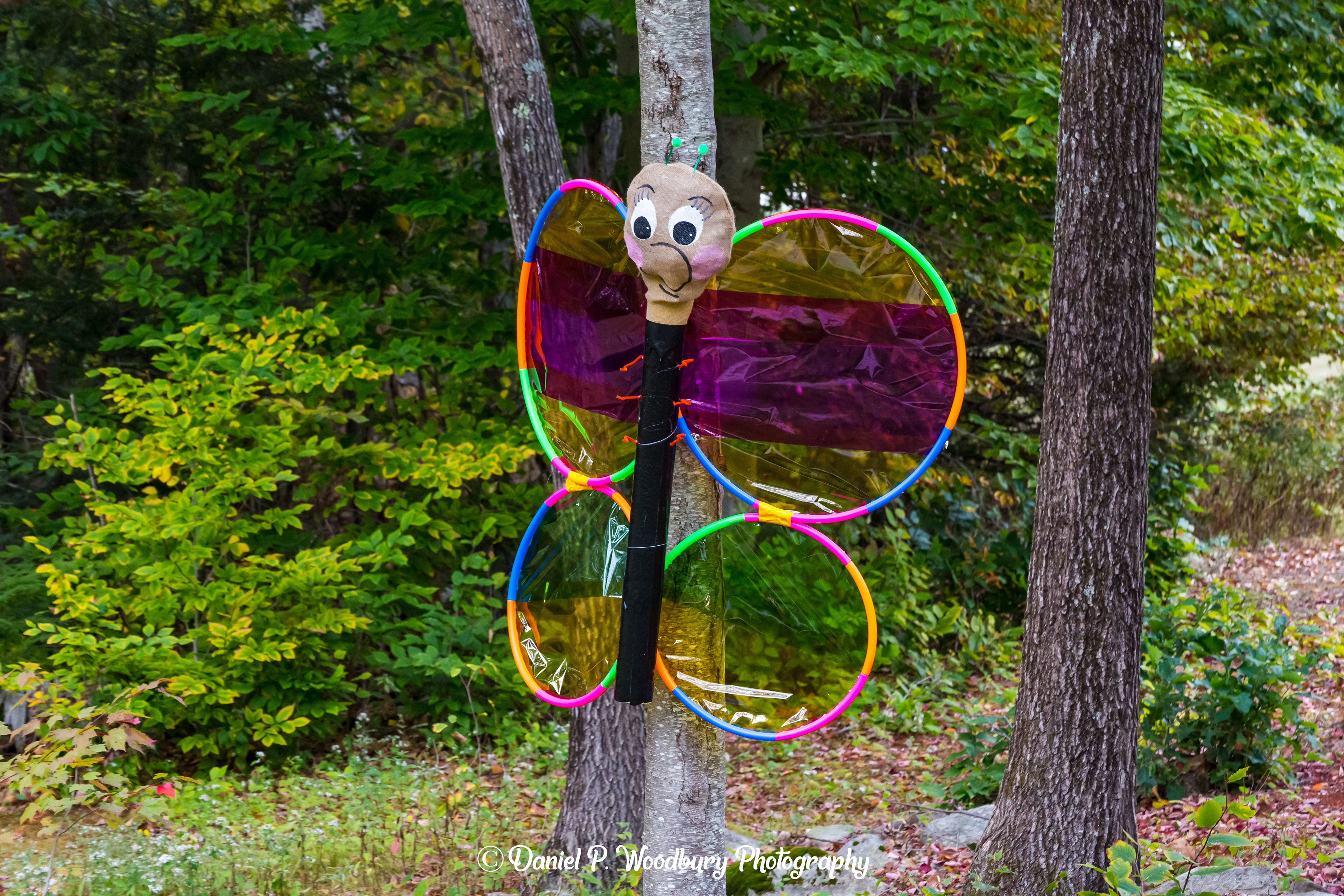 Butterfly Scarecrow