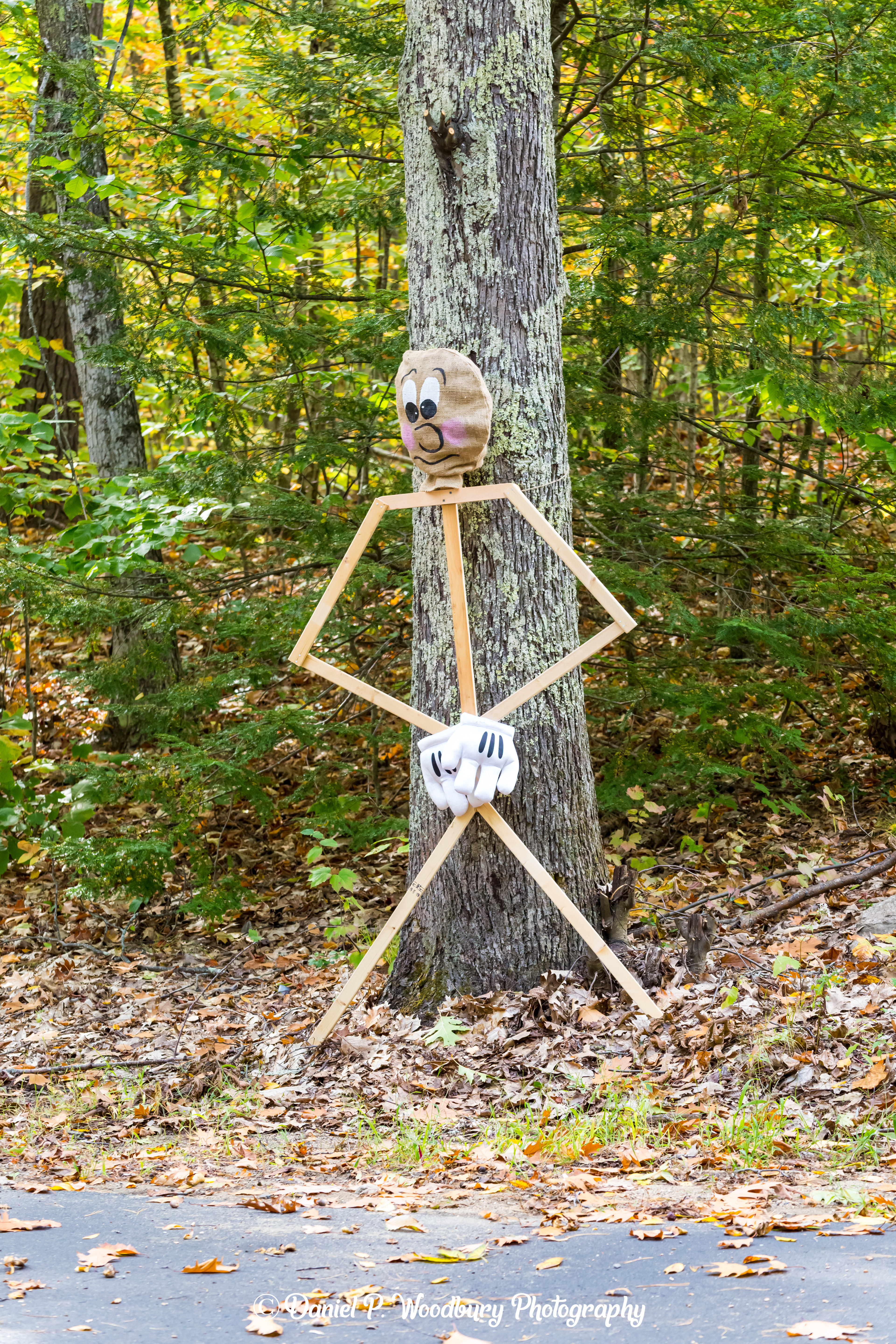 Stick Figure Scarecrow