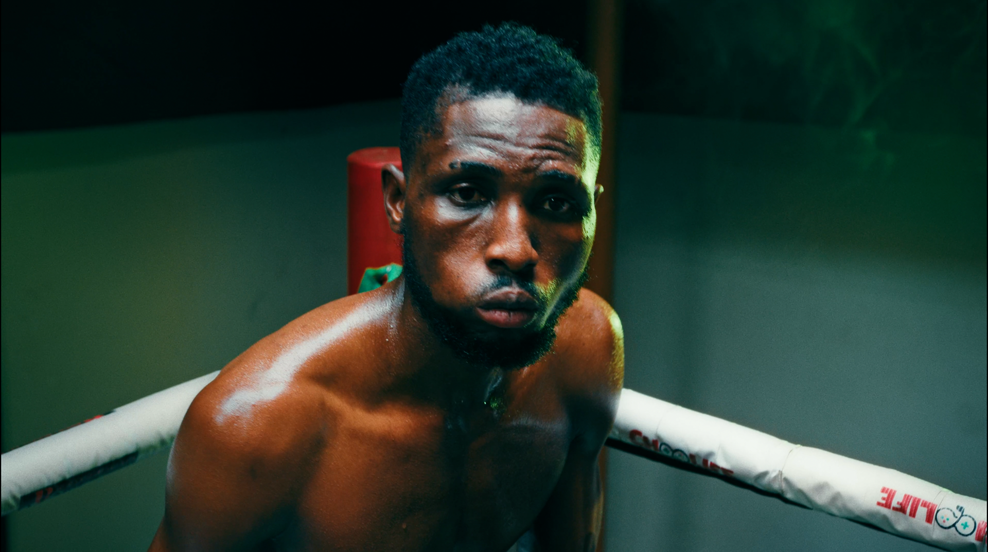 Old Mutual - The Bout, Stills, 2025